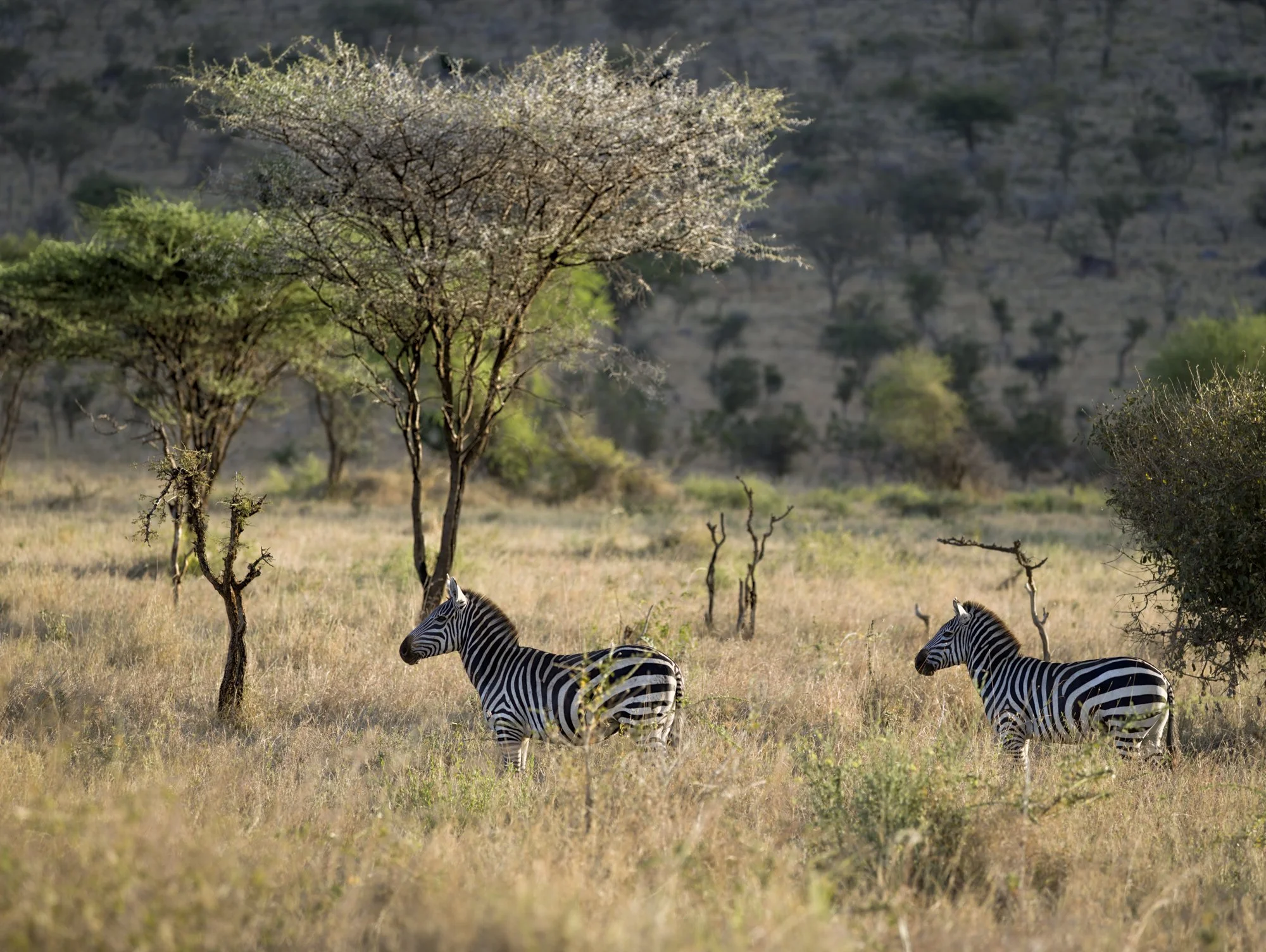 Neil's Photography-Santhiya test 16-09-2018-_-2.jpg