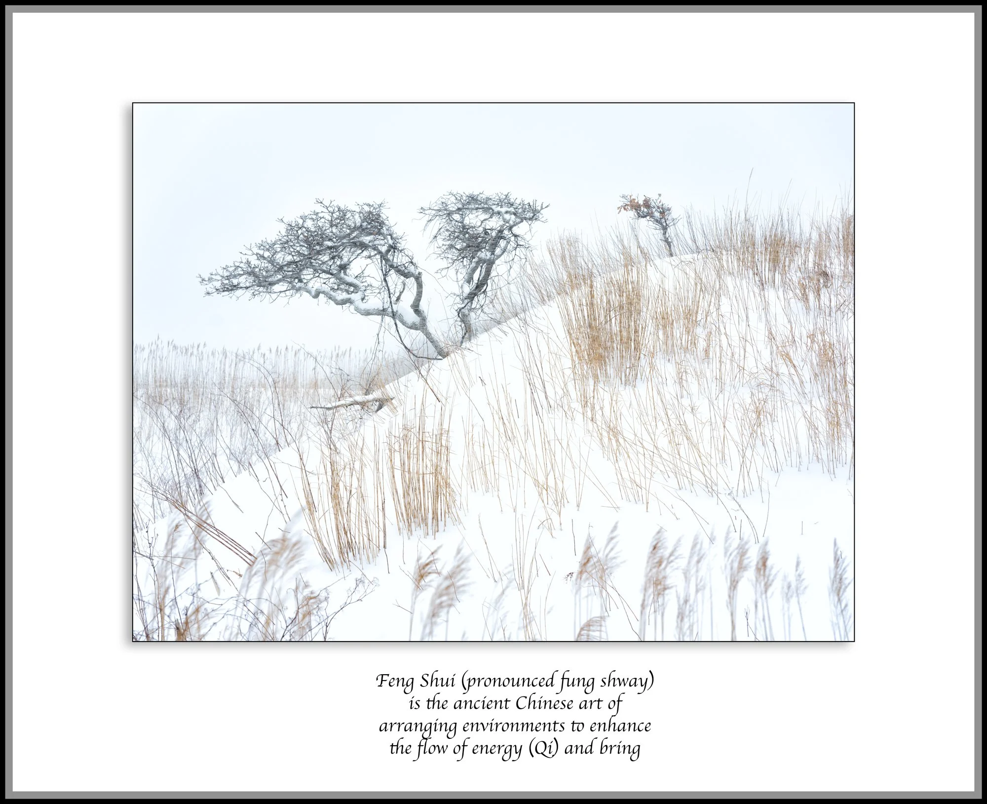 Hokkiado-Day-3_0196-Edit.jpg