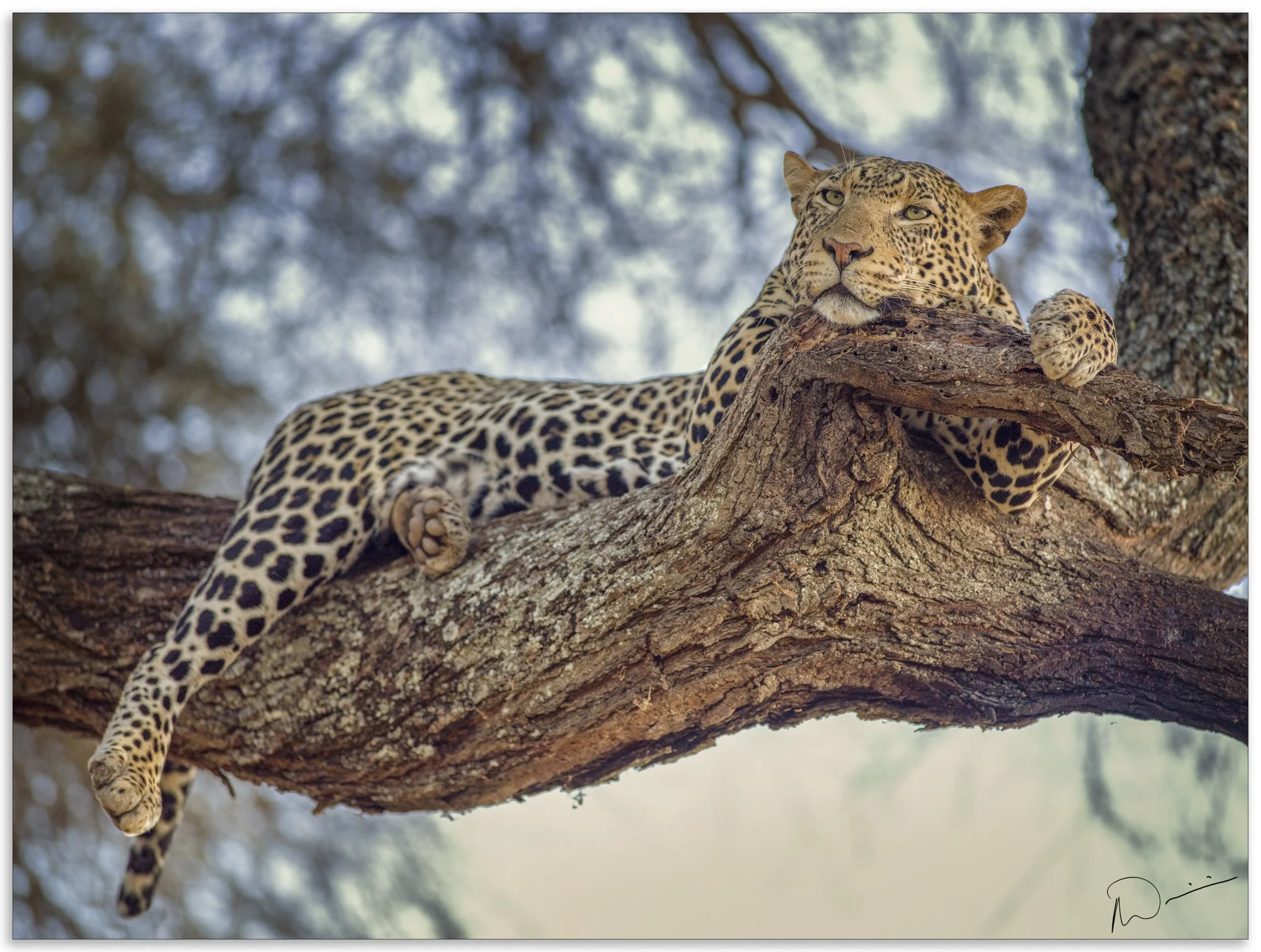 Neil's Photography-Santhiya test 11-09-2018- 0055.jpg