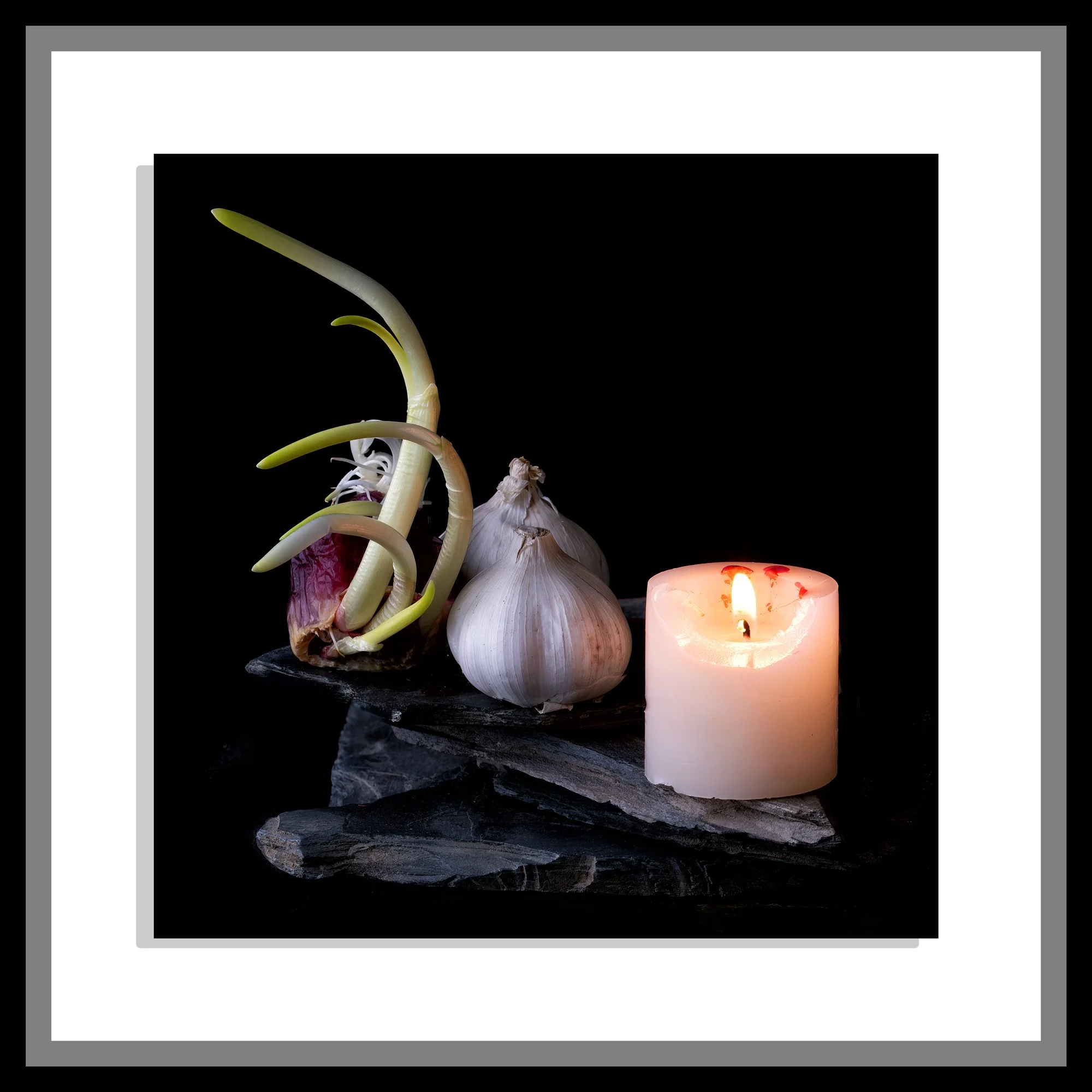 Neil's-Photography--February-11,-2026-_NDW4020.jpg