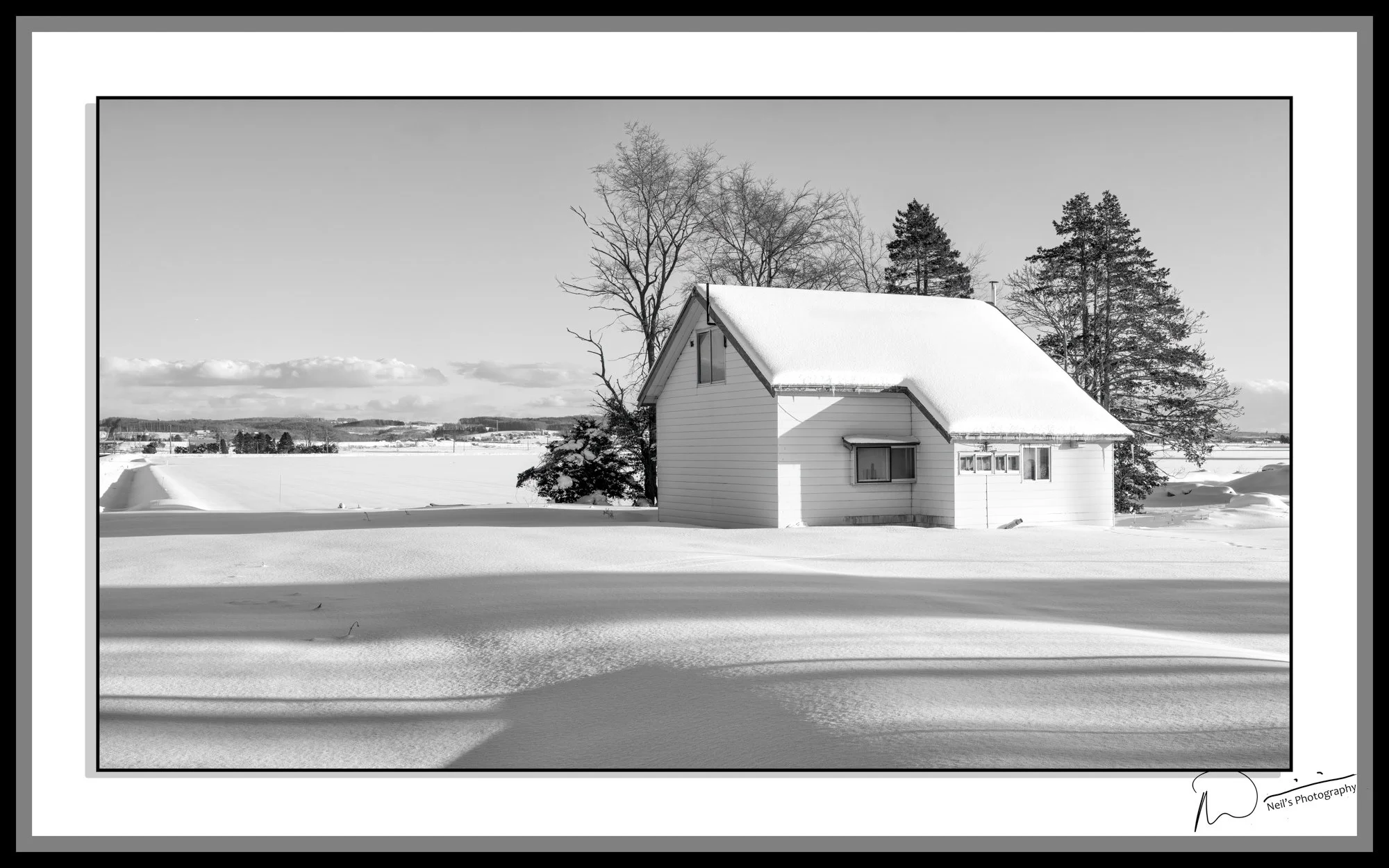 Neil's-Photography--January-24,-2026-Kushiro_0383.jpg
