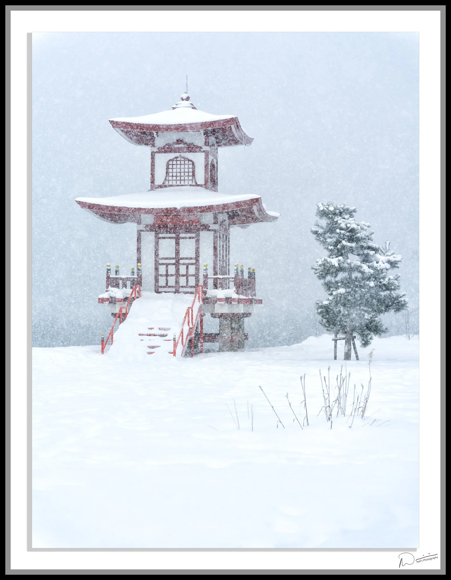 Japan in Winter: Snow, Silence, and Seeing It Together for the First Time