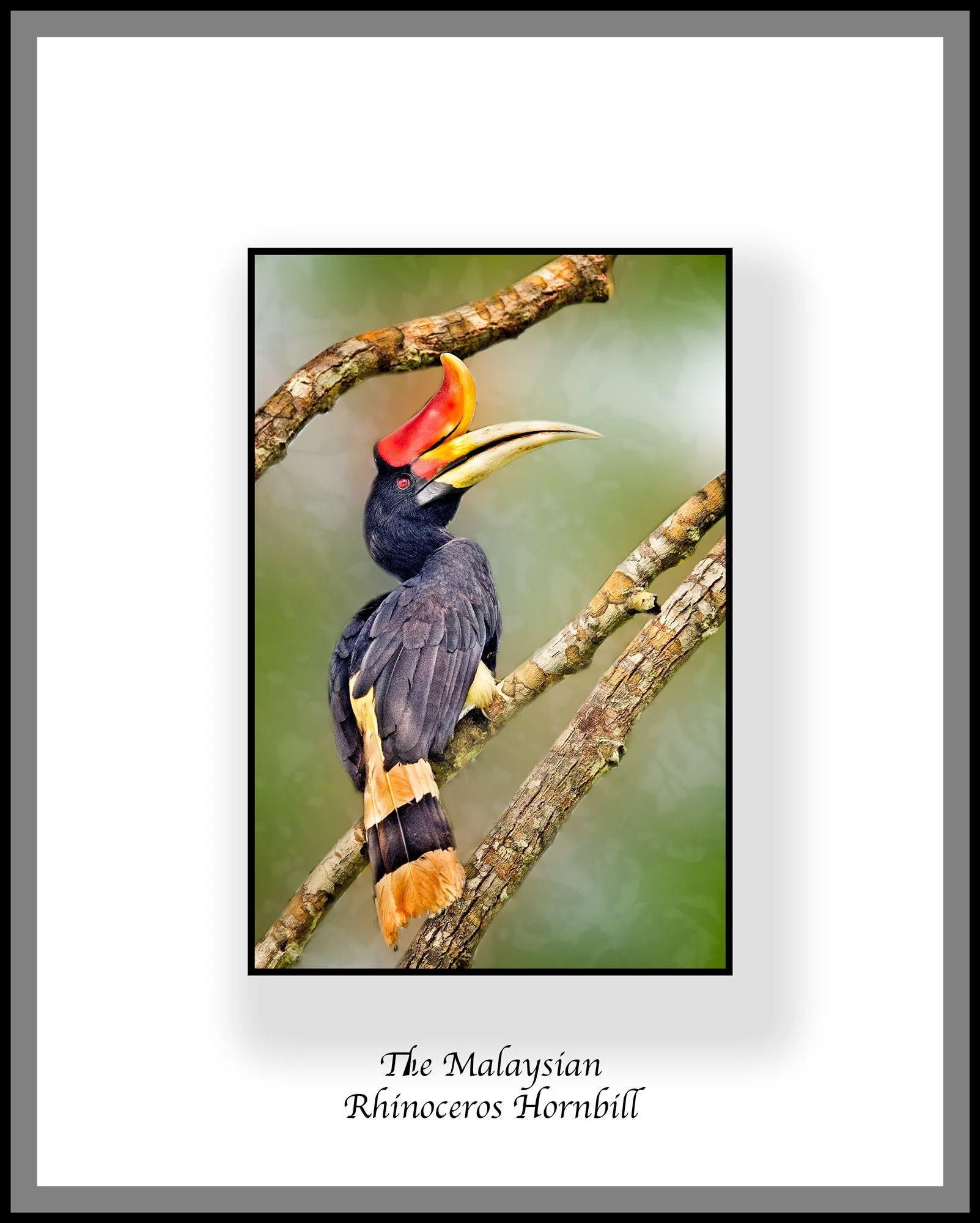 Neil's_Photography_October-27,-2015_NDW_1587.jpg
