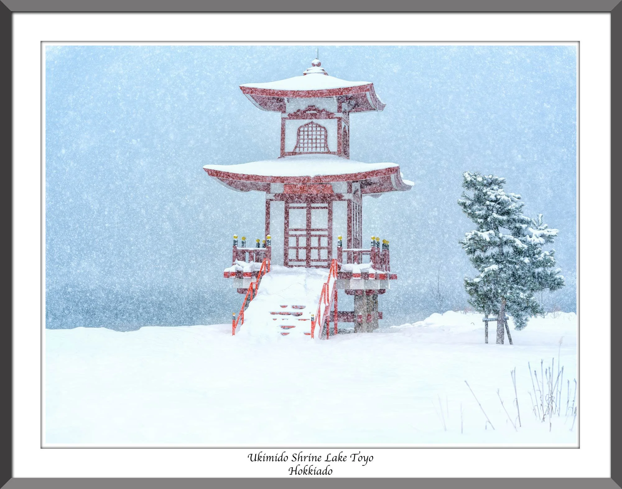 Neil's-Photography--January-25,-2026-Sapporo_0022.jpg