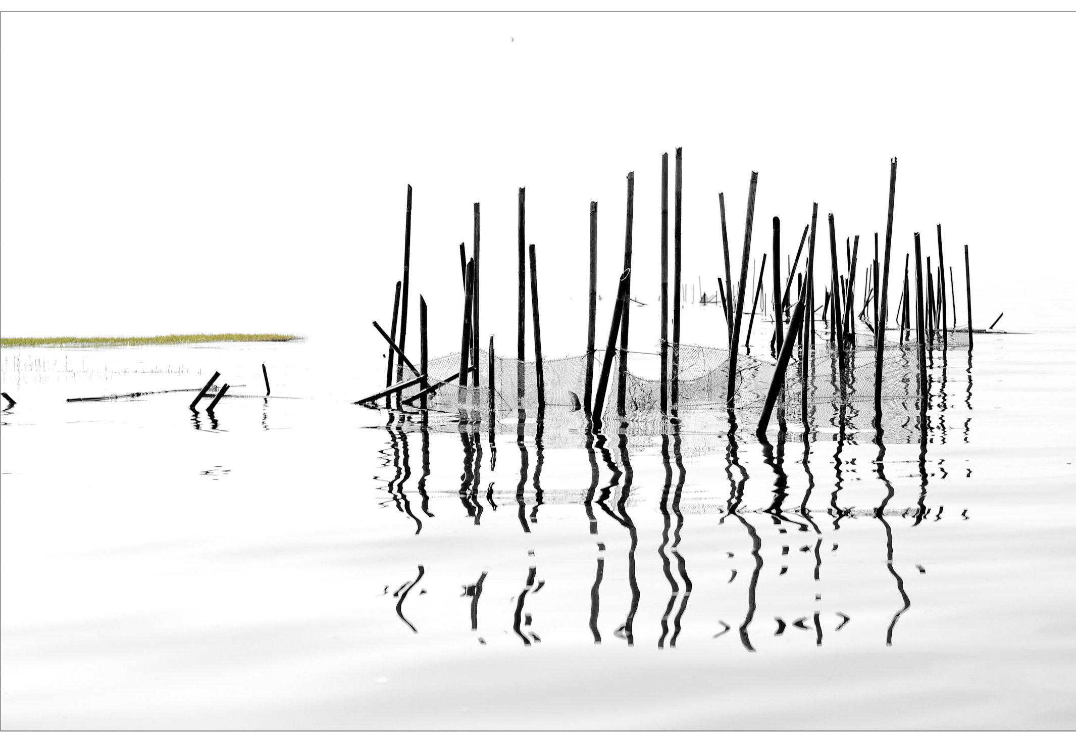 Neil's_Photography_March 05, 2017_L1009680-Edit.jpeg