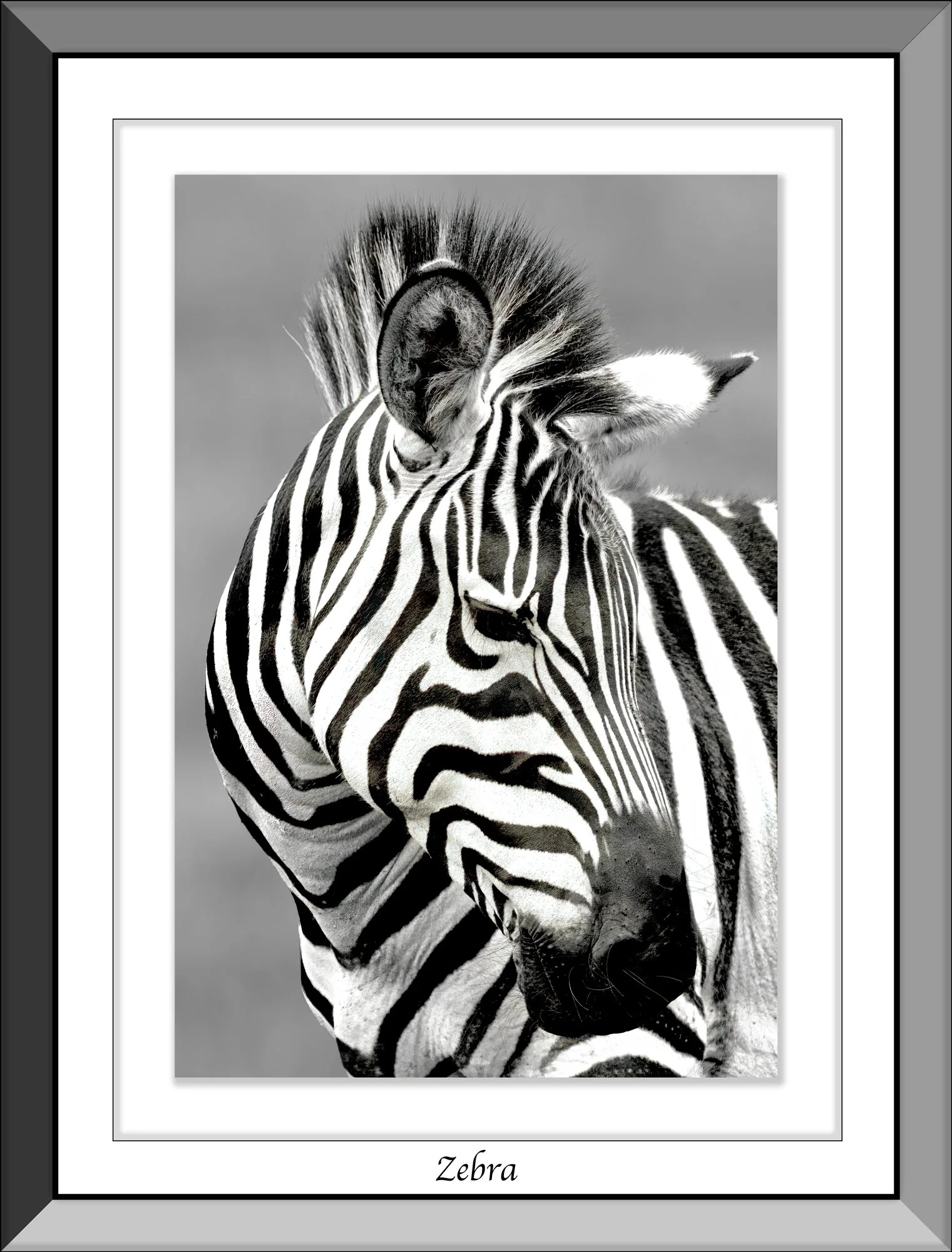 Neil's_Photography_January-19,-2016__NUK4256.jpg