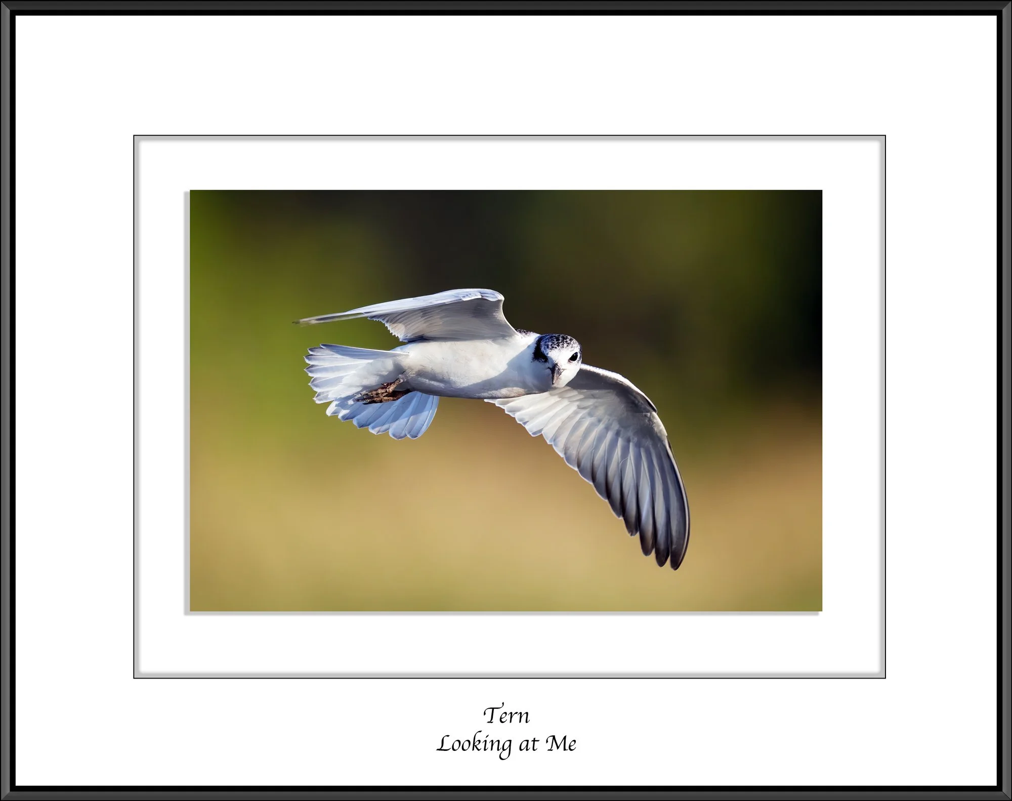 Neil's-Photography--October-01,-2024-_NDW9139.jpg