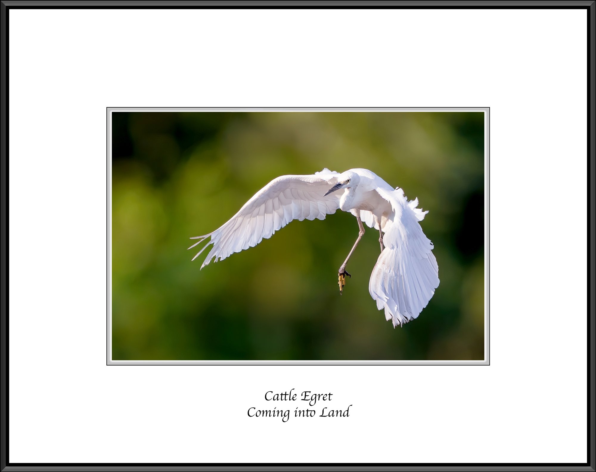 Neil's-Photography--October-01,-2024-_NDW8317.jpg