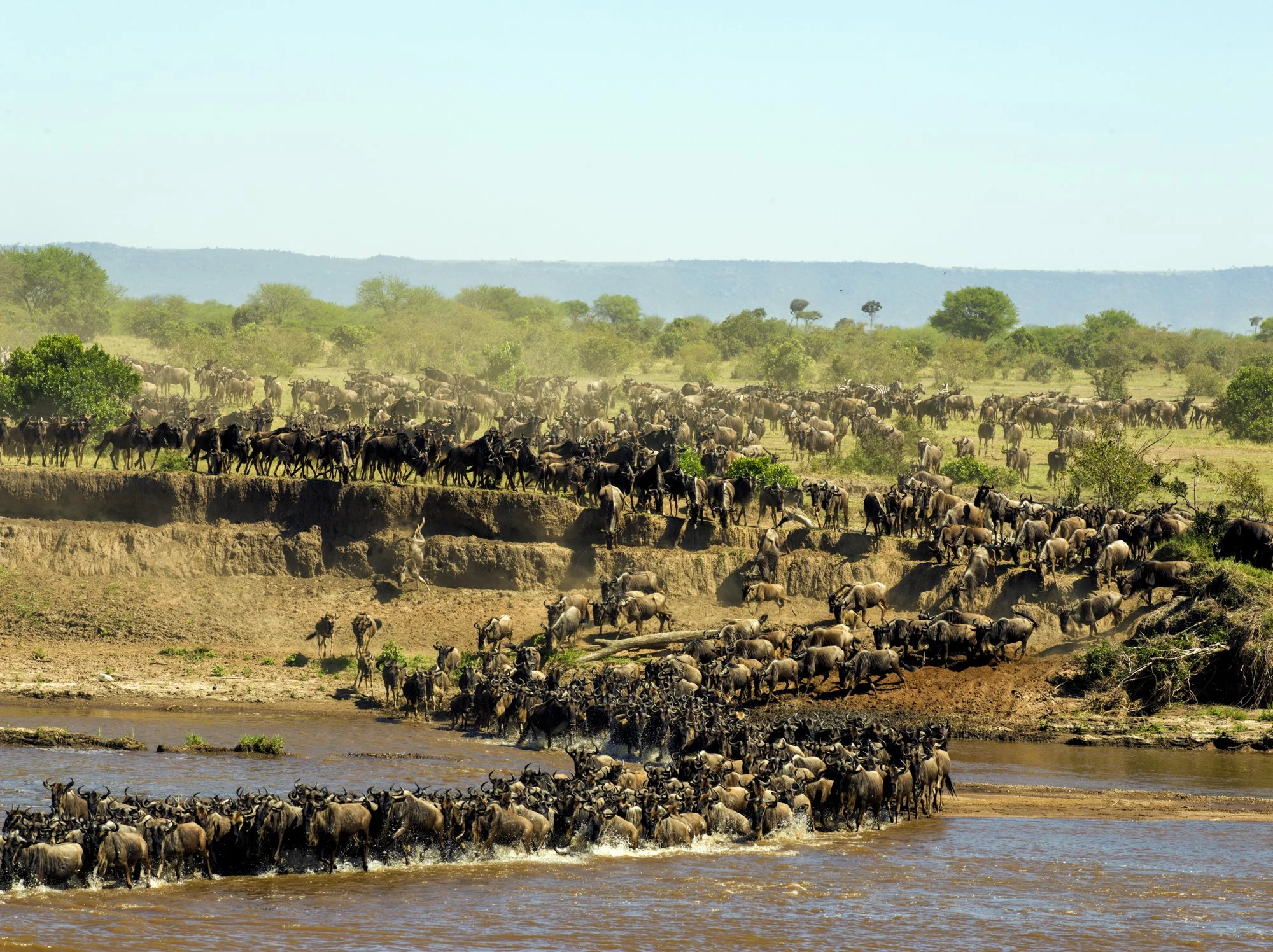 Neil's Photography-Santhiya test 15-09-2018- 0186.jpg