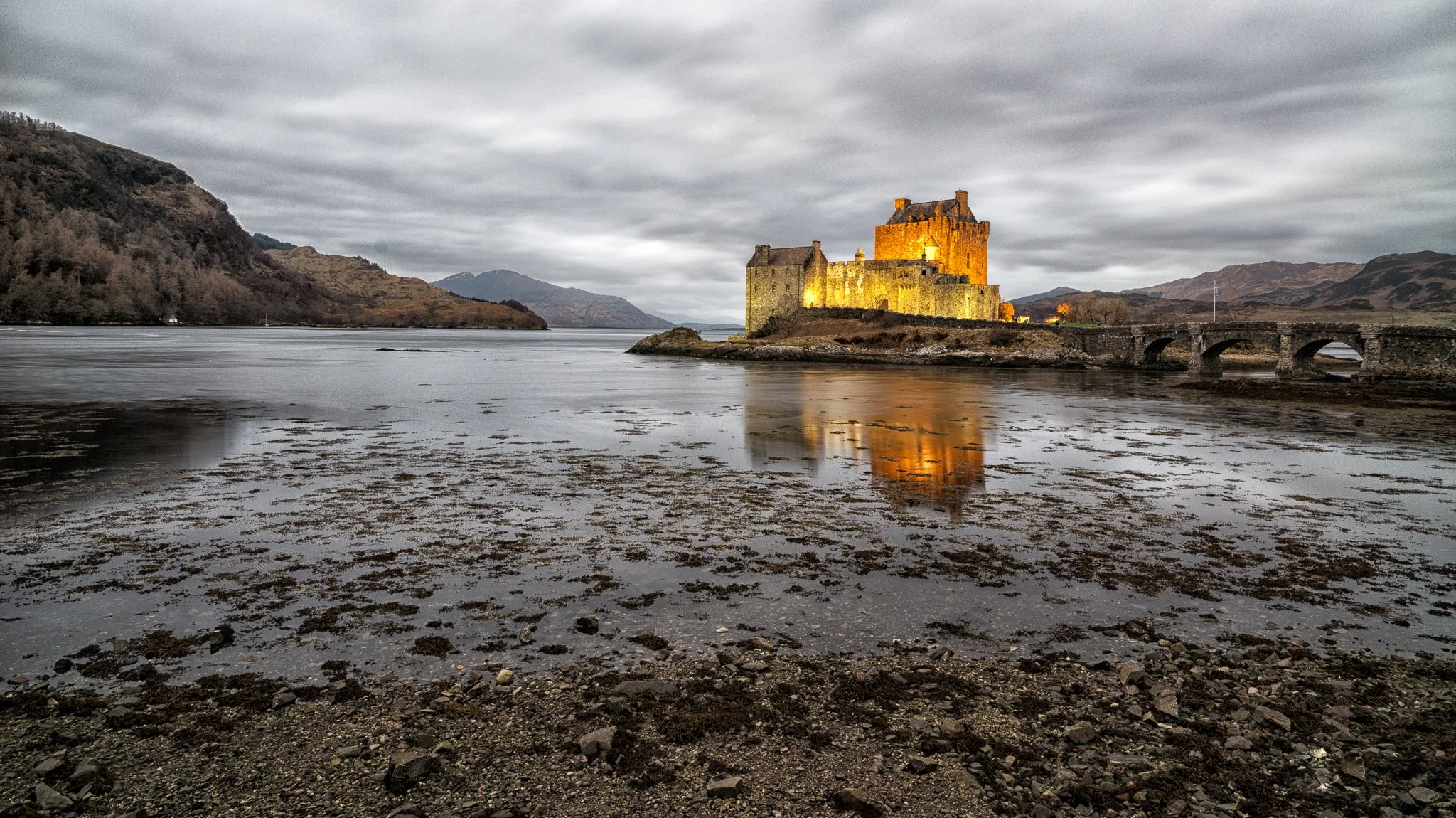 Neil's_Photography_December 28, 2016_L1020782.jpg