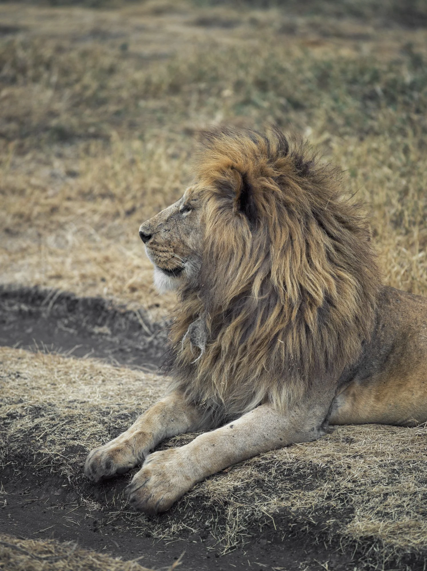 Neil's Photography-Santhiya test 13-09-2018- 0092.jpg