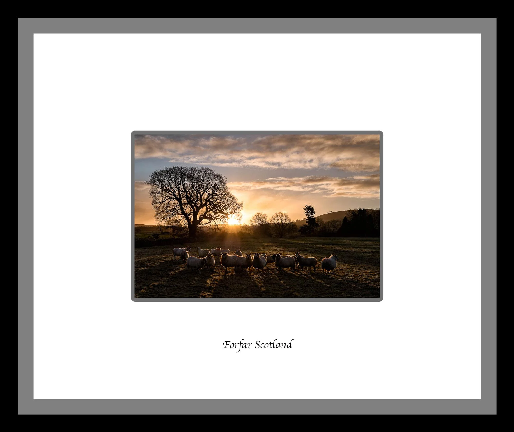 Neil's_Photography_January-01,-2017_L1030061-Edit.jpg