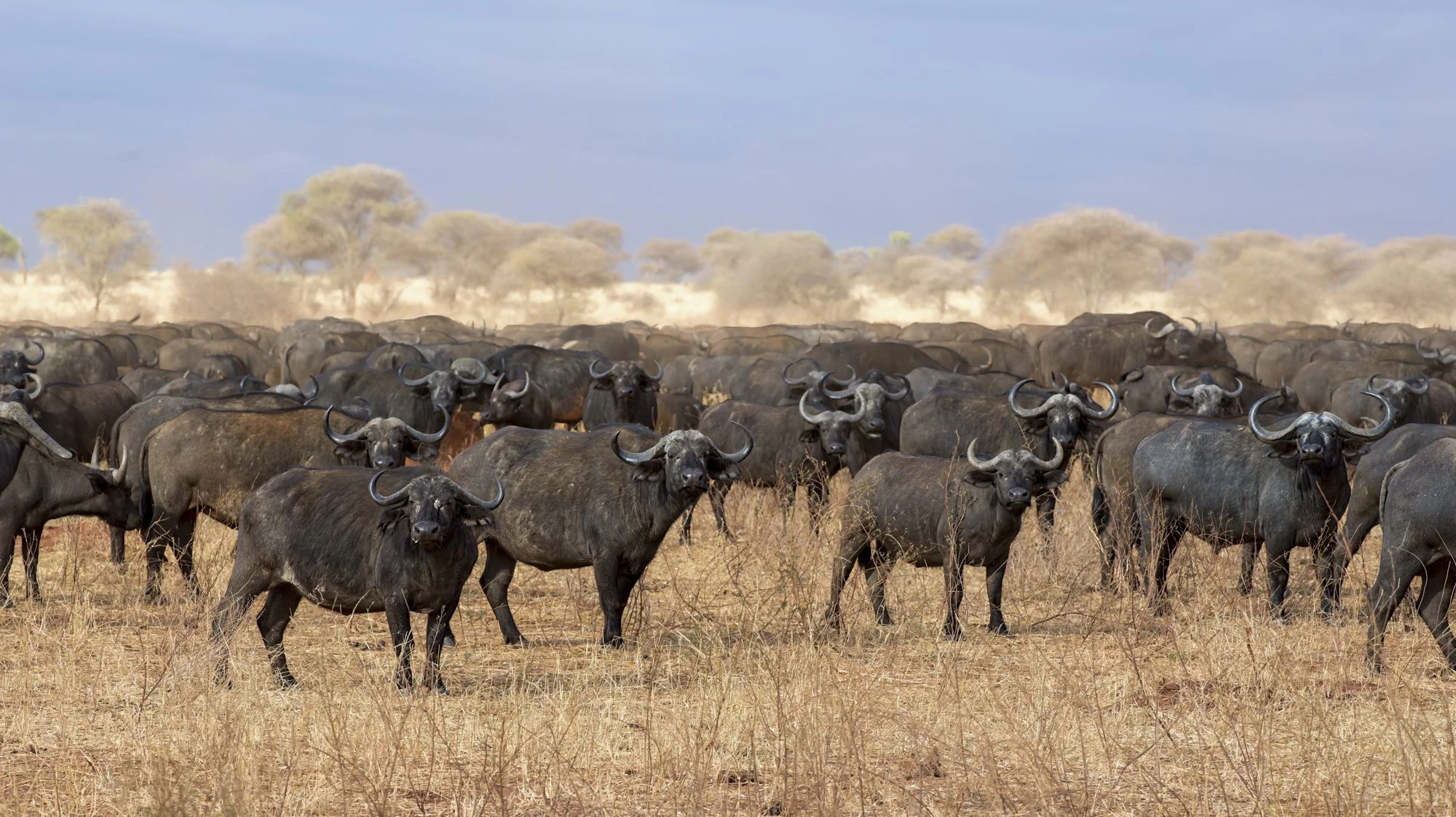 Neil's Photography -September 11, 2018-Neil's Photography-Santhiya test 11-09-2018- 0035.jpg