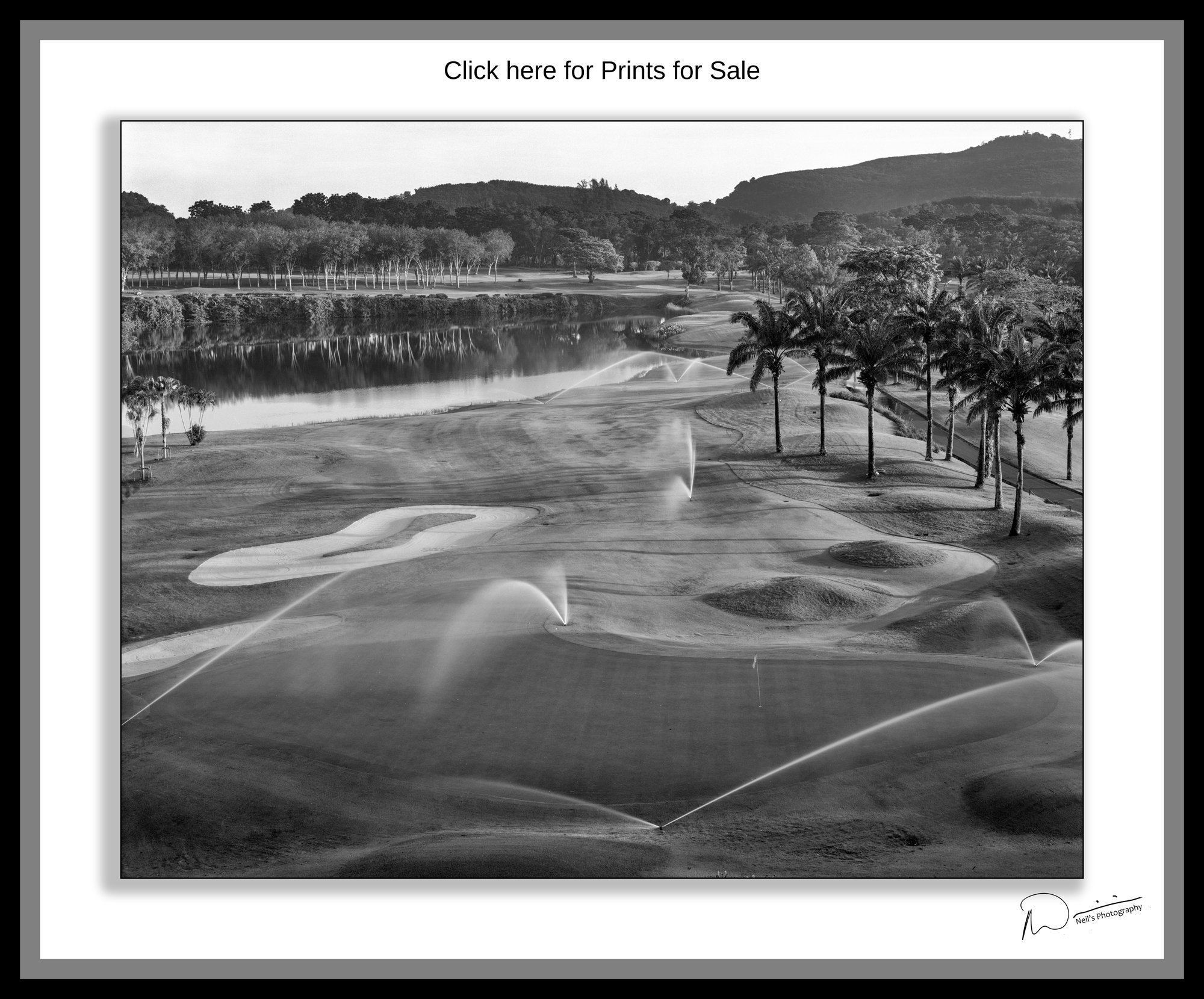 Neil's-Photography0181.jpg