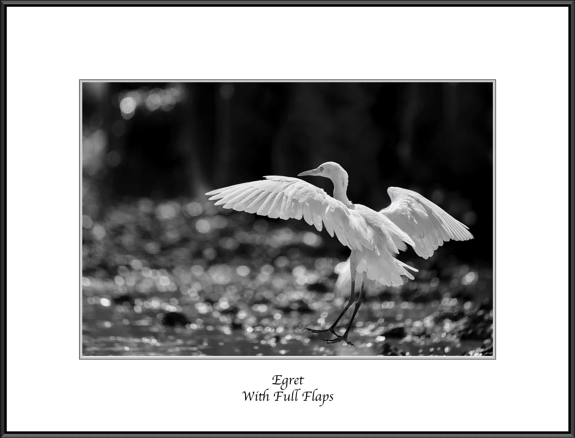 Neil's-Photography--October-01,-2024-_NDW5529.jpg