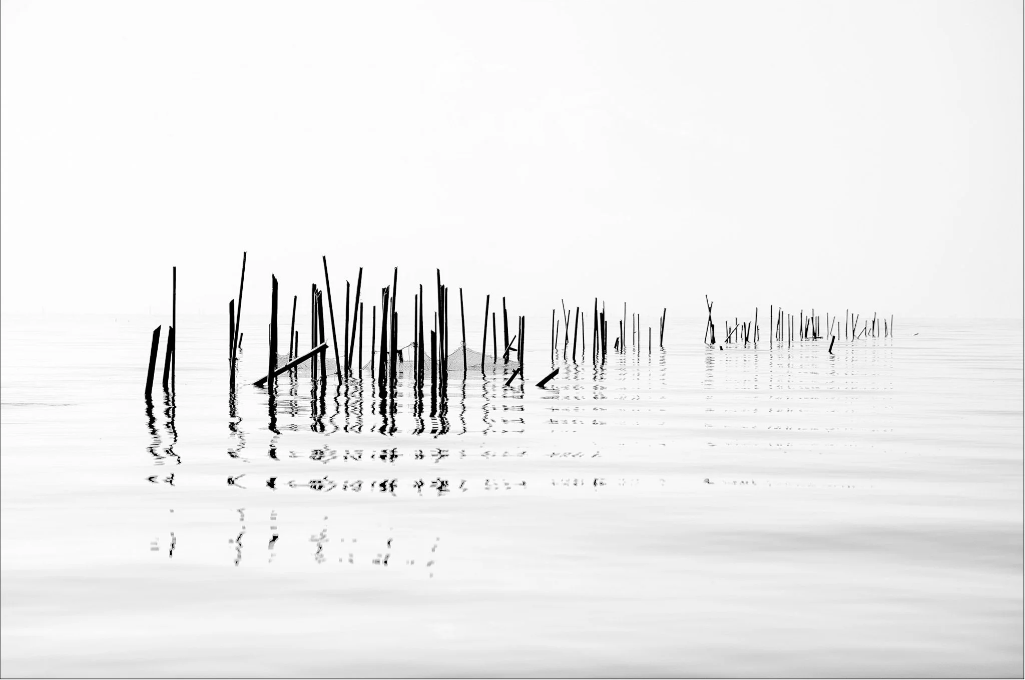 Neil's_Photography_March 05, 2017_L1009641-Edit.jpg