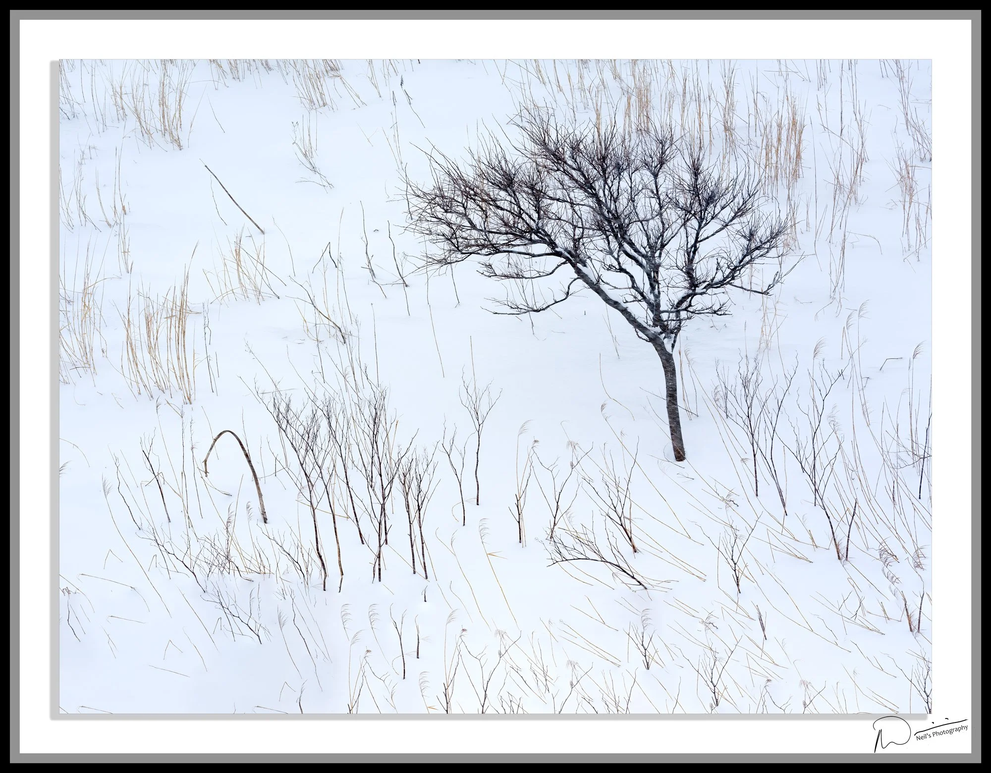 Hokkiado-Day-3_0212-Edit 2.jpg