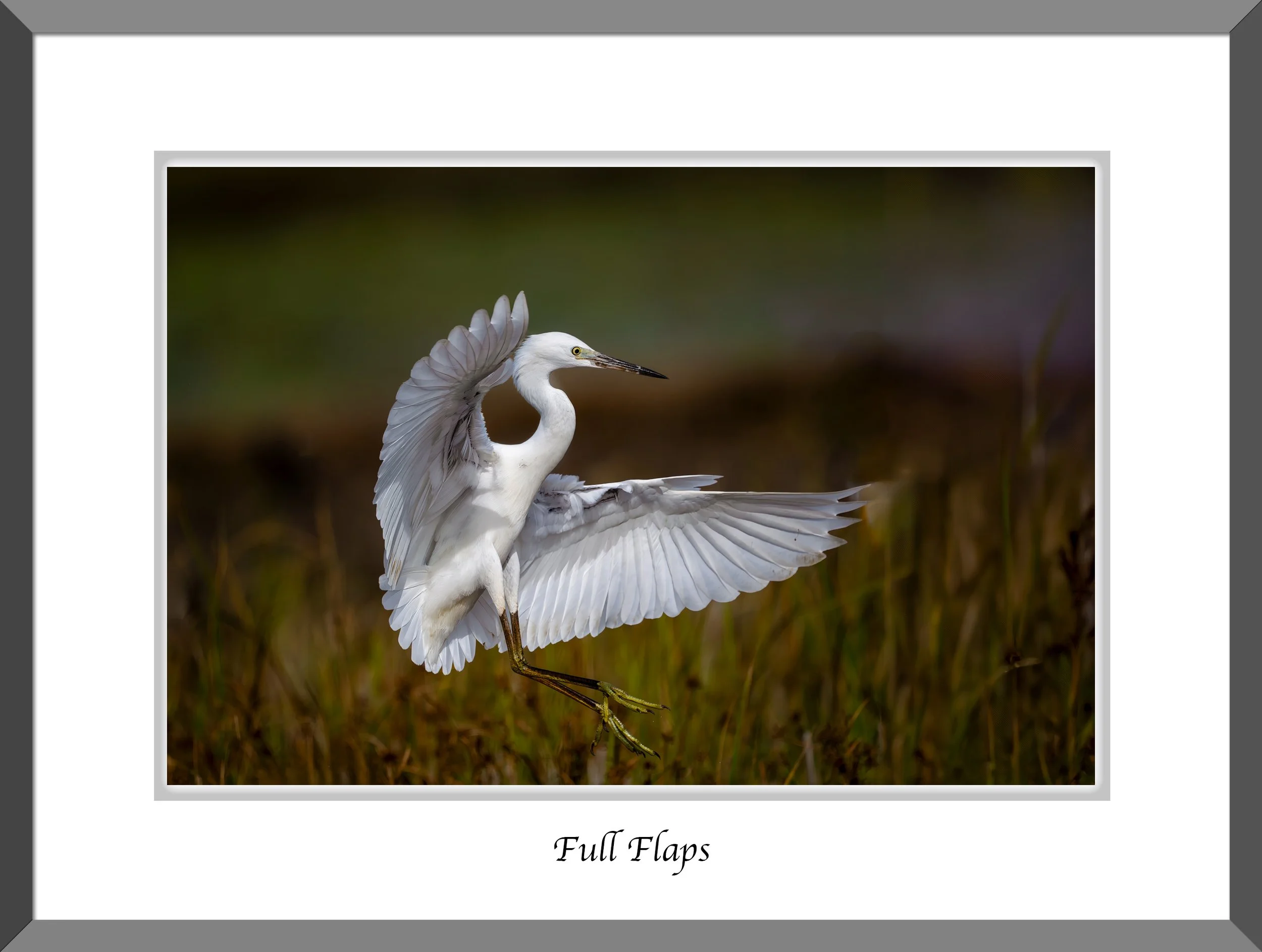 Neil's-Photography--October-02,-2024-_NDW1731.jpg
