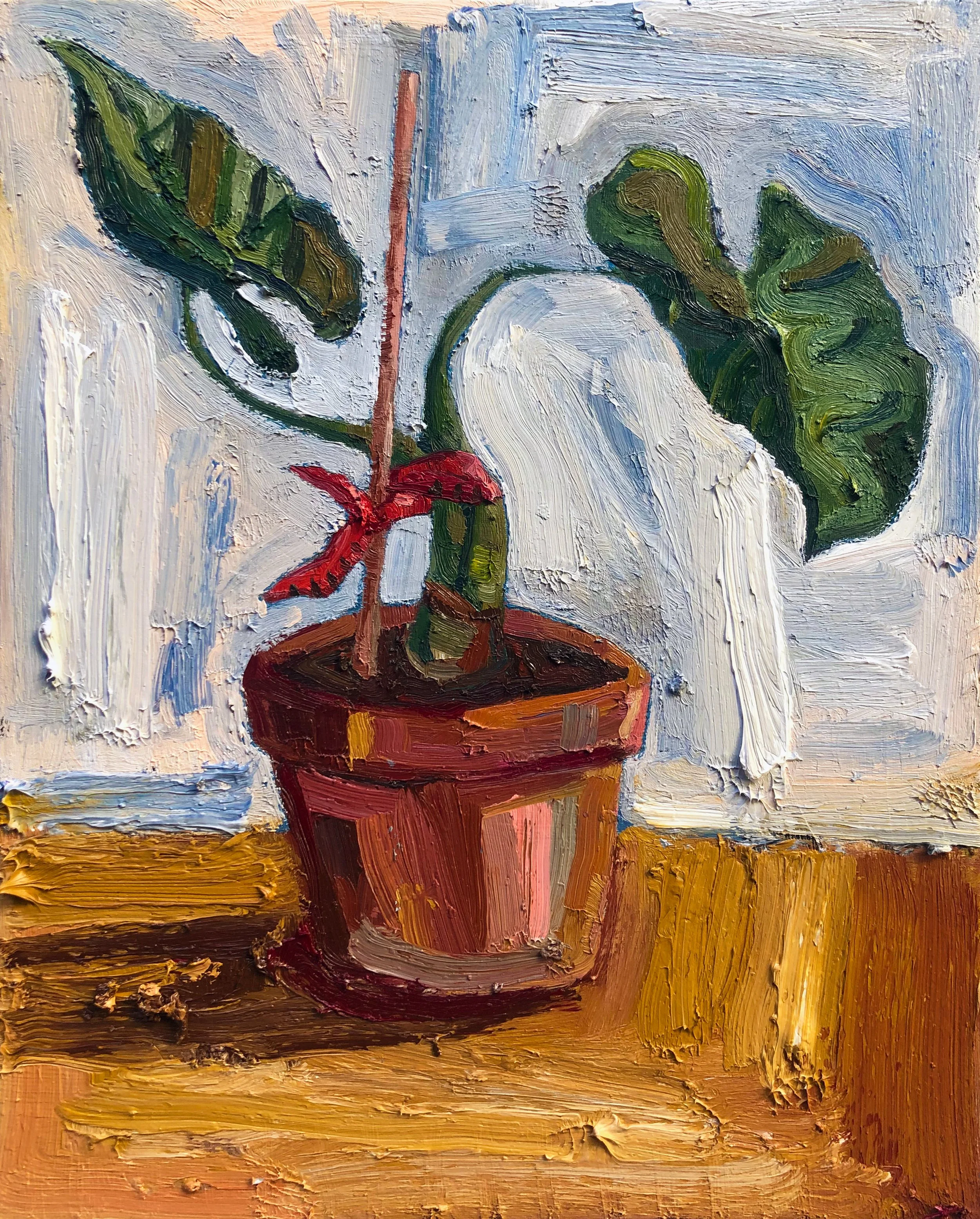 Pot plant v3.jpg