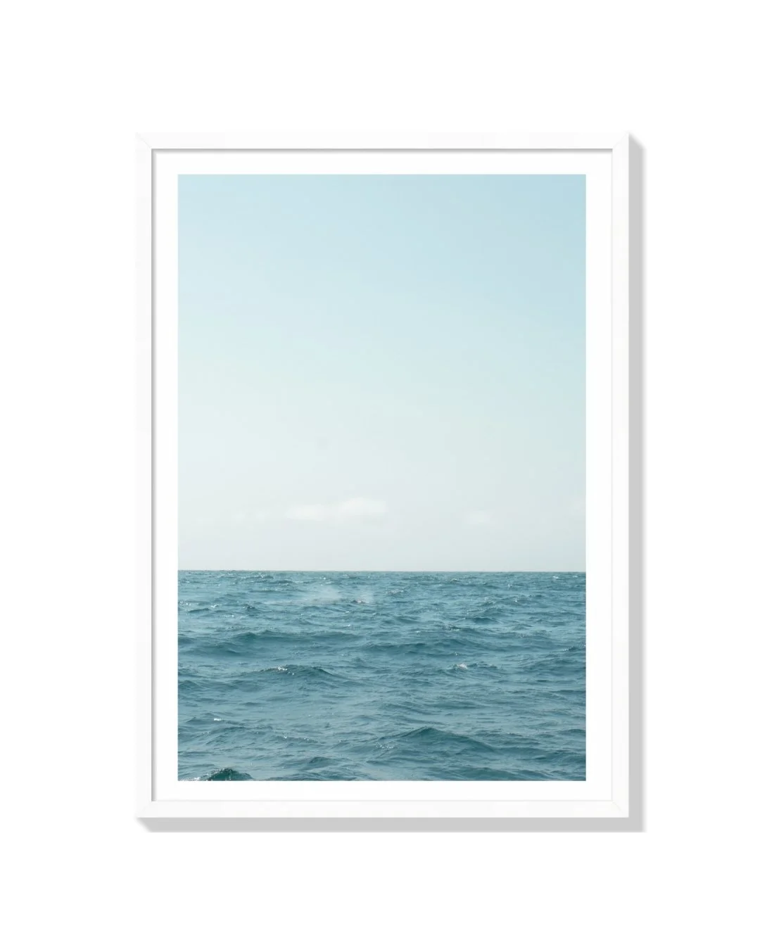 24_White P.jpg