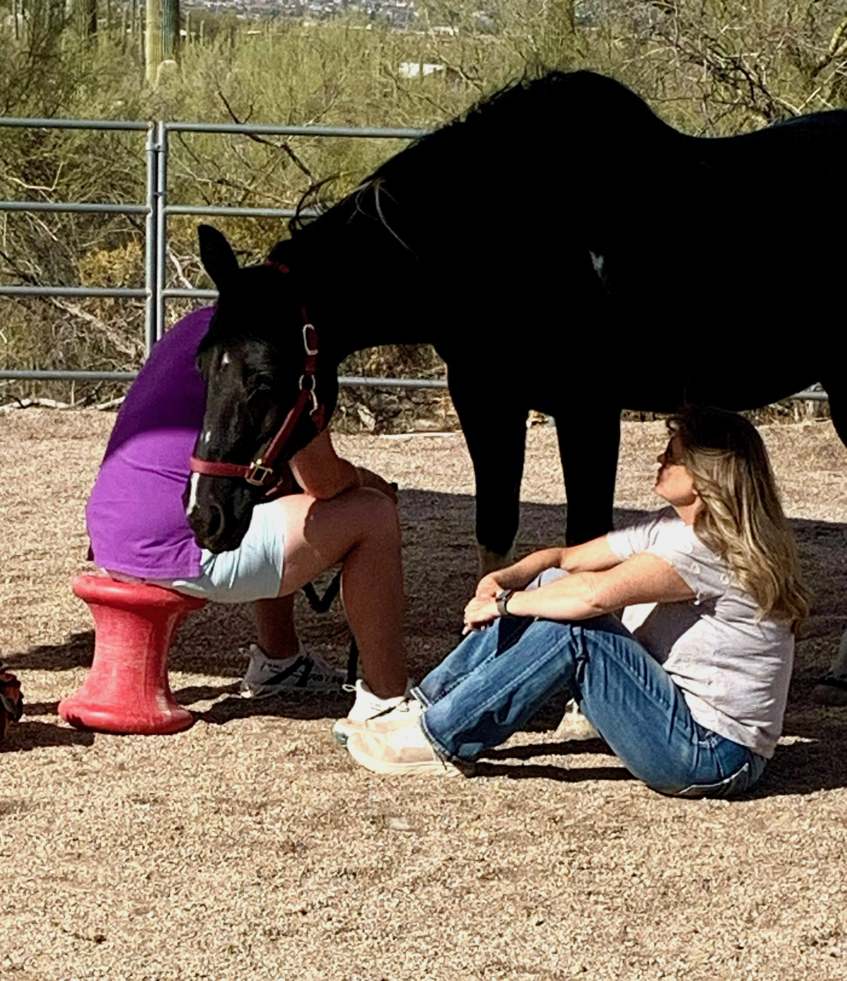Two women sitting on the ground with a black horse standing over them, the horse leaning its head down towards one of the women.