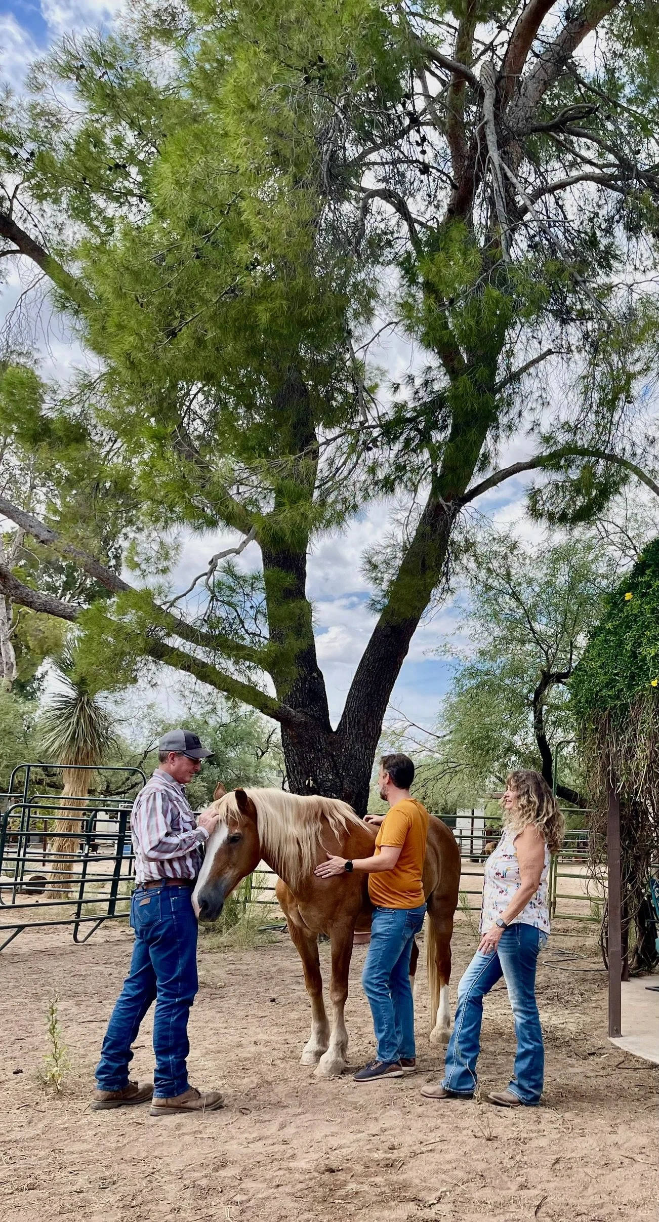 Three people petting a large brown horse outdoors under a large tree in a fenced area.