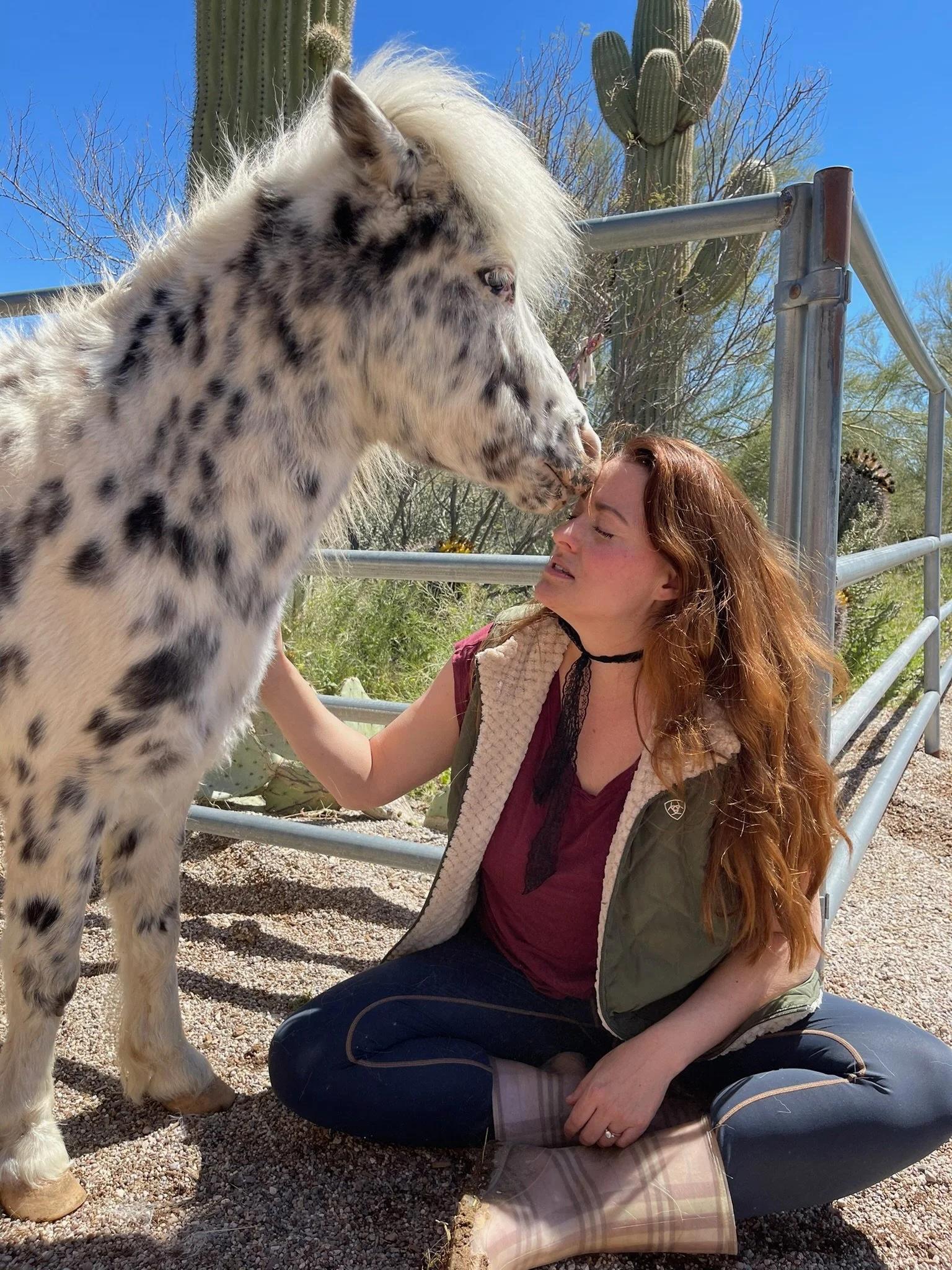 A woman sitting on the ground with a maroon shirt and plaid rain boots being nudged by a white and black speckled horse, outdoors near a metal fence and desert plants including cacti.
