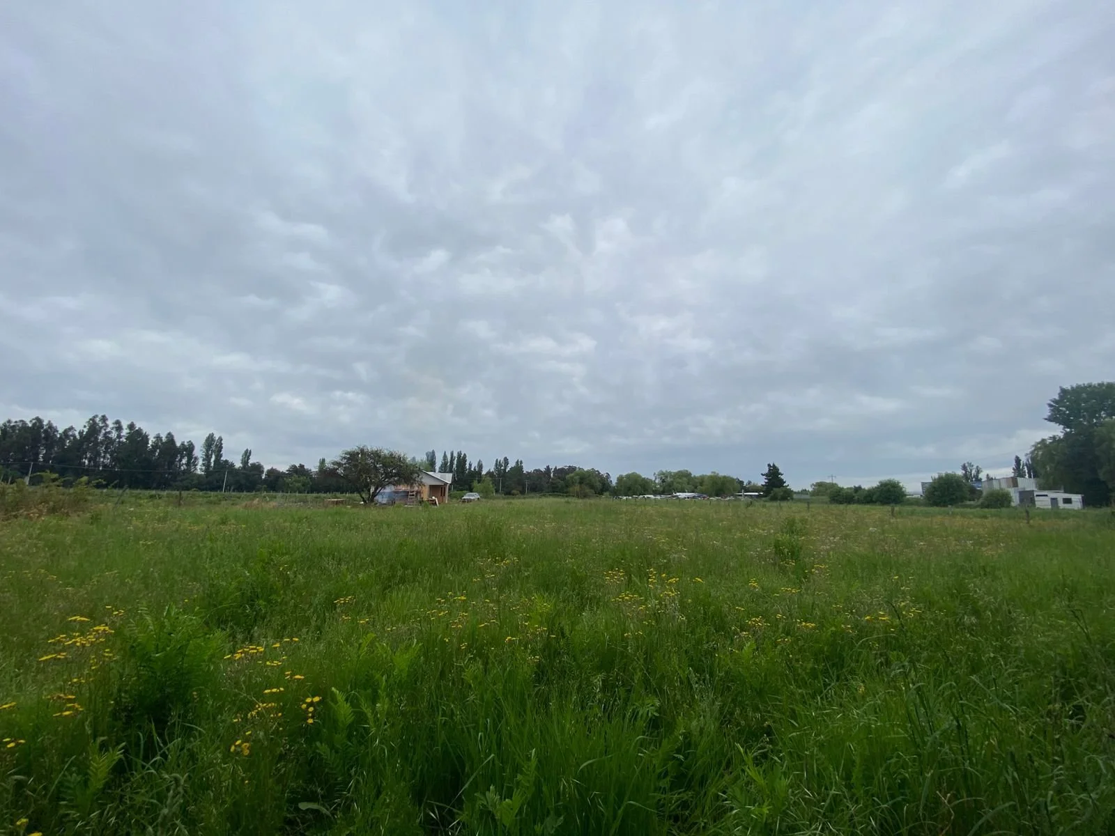 Parcela con casa de 102 m² de construcción terminada en un 60 %, con 3 dormitorios y 2 baños. La propiedad se encuentra en un terreno de 5.000 m² con rol propio, prácticamente nueva y en muy buen estado, ubicada en un lugar tranquilo y colindante con