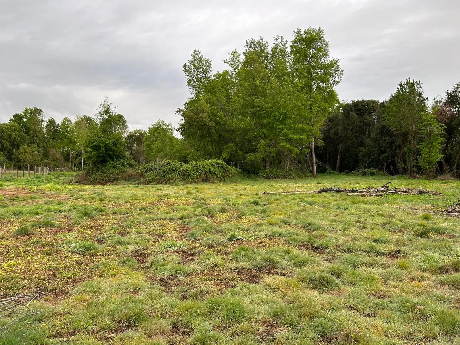 Terreno de 5.000 m² ubicado en la comuna de El Carmen, sector San Isidro km 9,2, con rol propio listo para transferir. Es una excelente tierra para cultivo, colinda con el Estero Las Corontas y cuenta con factibilidad de luz en proyecto con la comuni