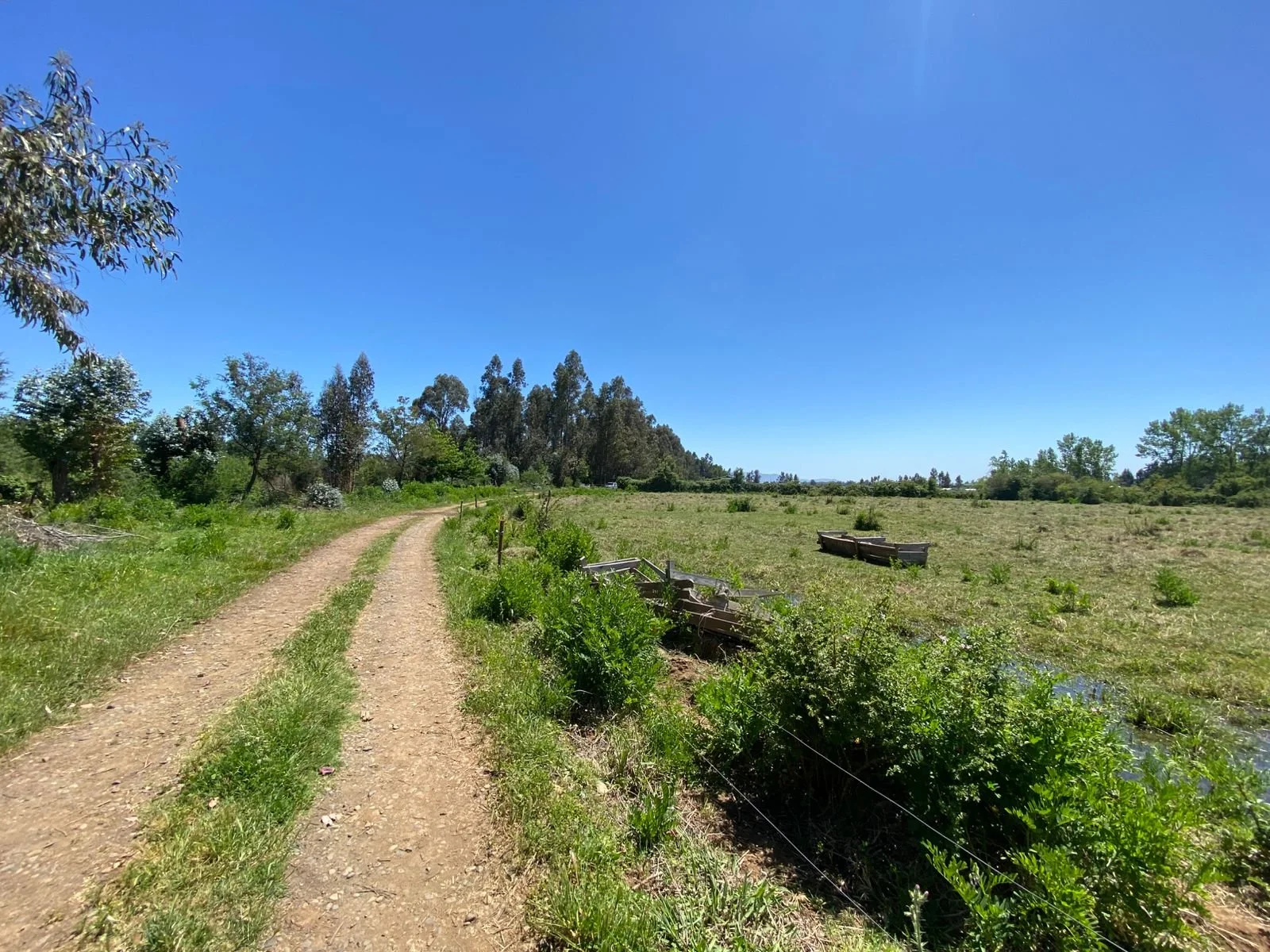 Predio agrícola ubicado en Bulnes con 45 hectáreas planas, agua disponible y documentación al día. Se encuentra a solo 3 km de pavimento y a 10 minutos de Tres Esquinas, ideal para crianza de ganado y siembras. La propiedad cuenta con 2 galpones y un