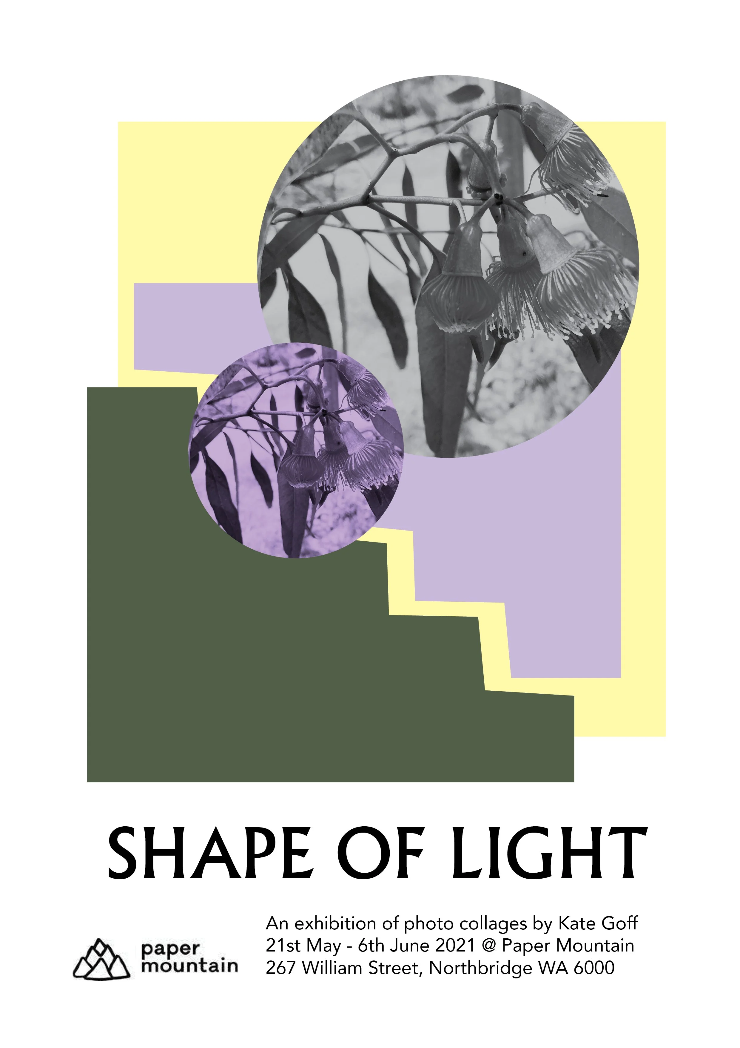 ShapeofLight.jpg