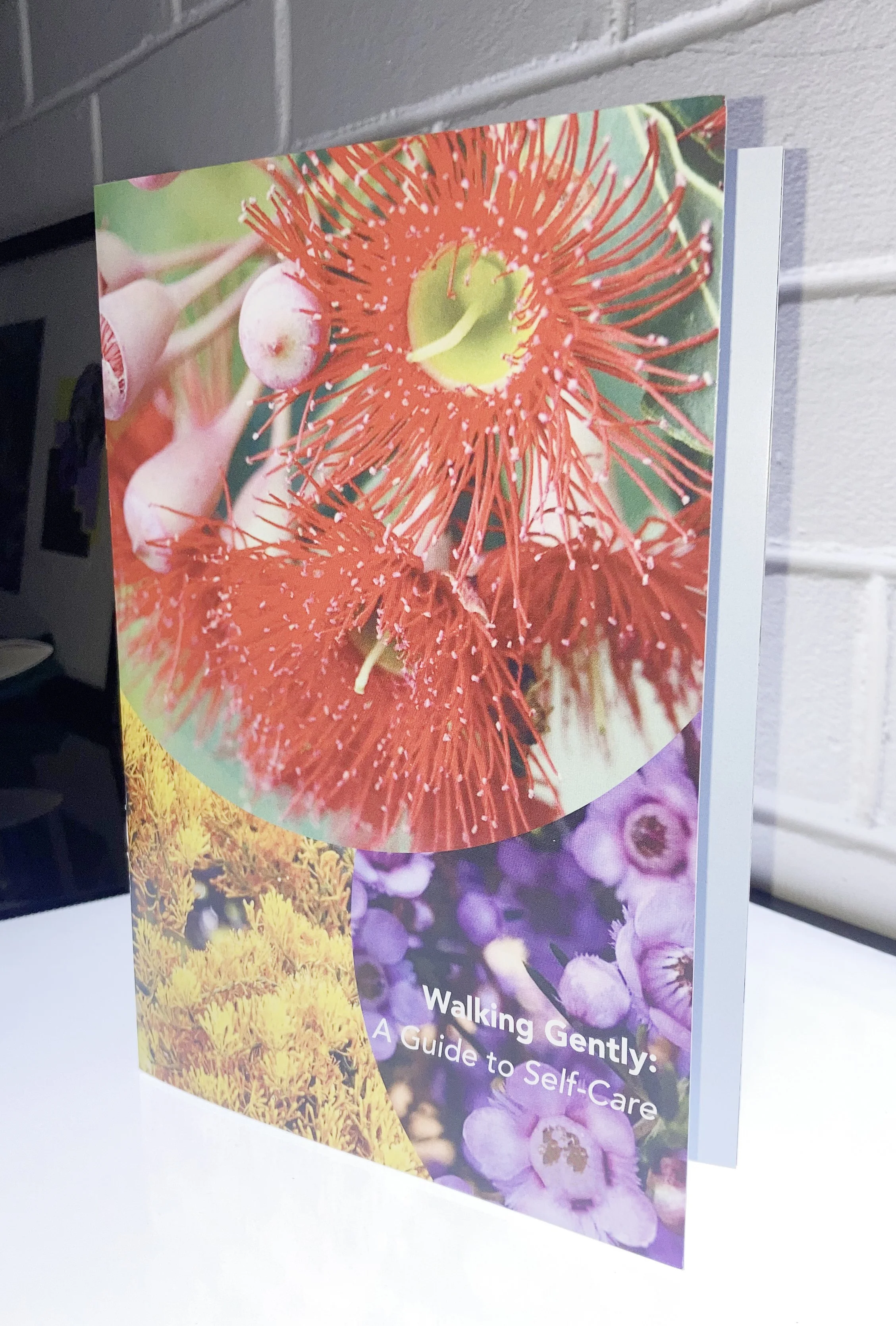 Walking Gently : A Guide to Self Care