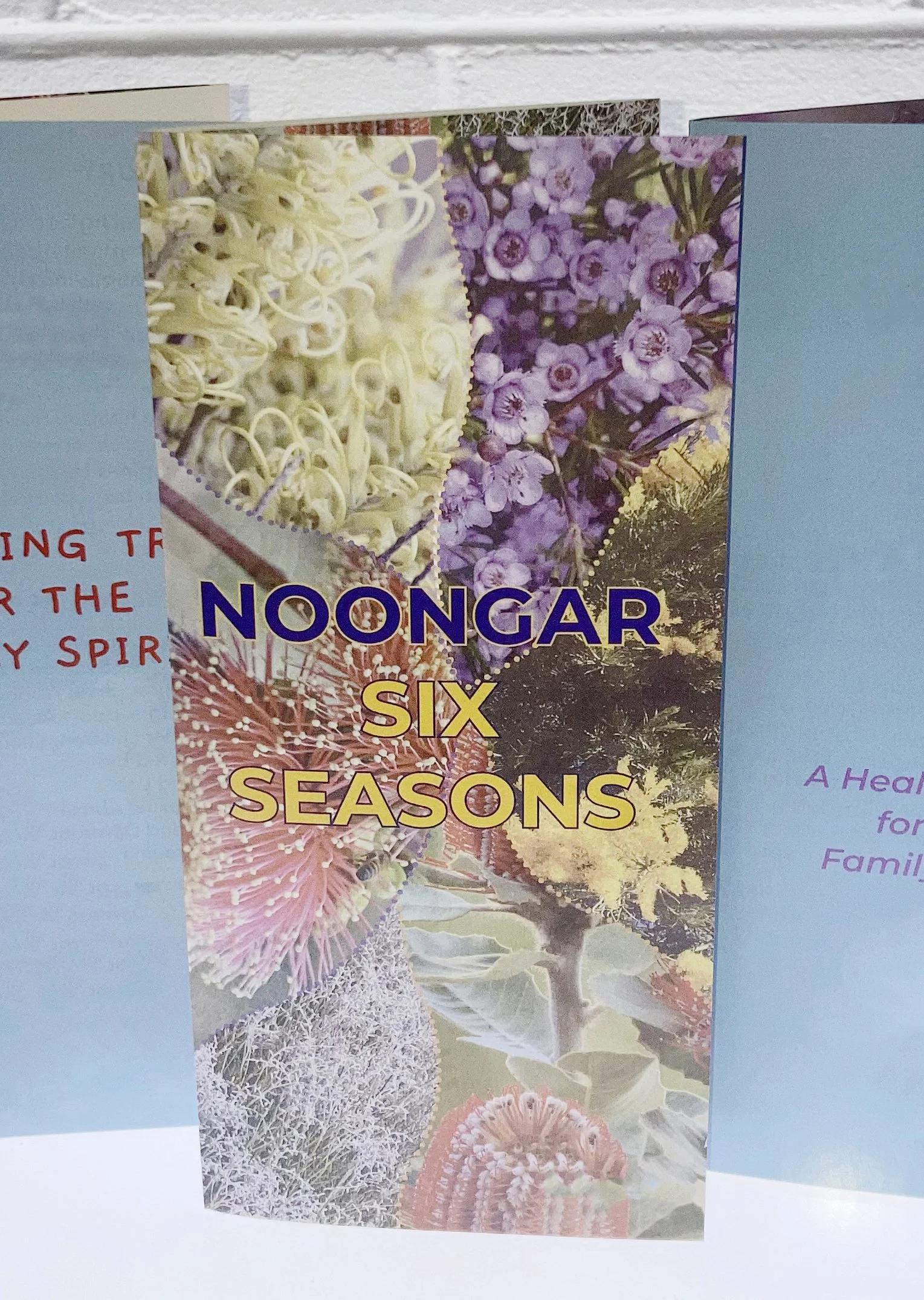 brochures3a.jpg