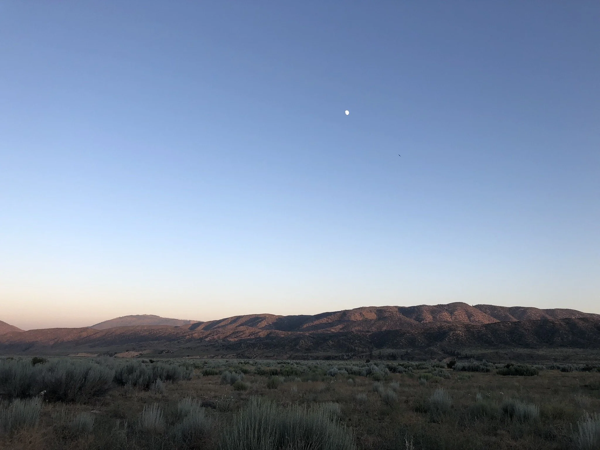 Landscape view of distant mountains under a clear sky with the moon visible and a small bird flying.