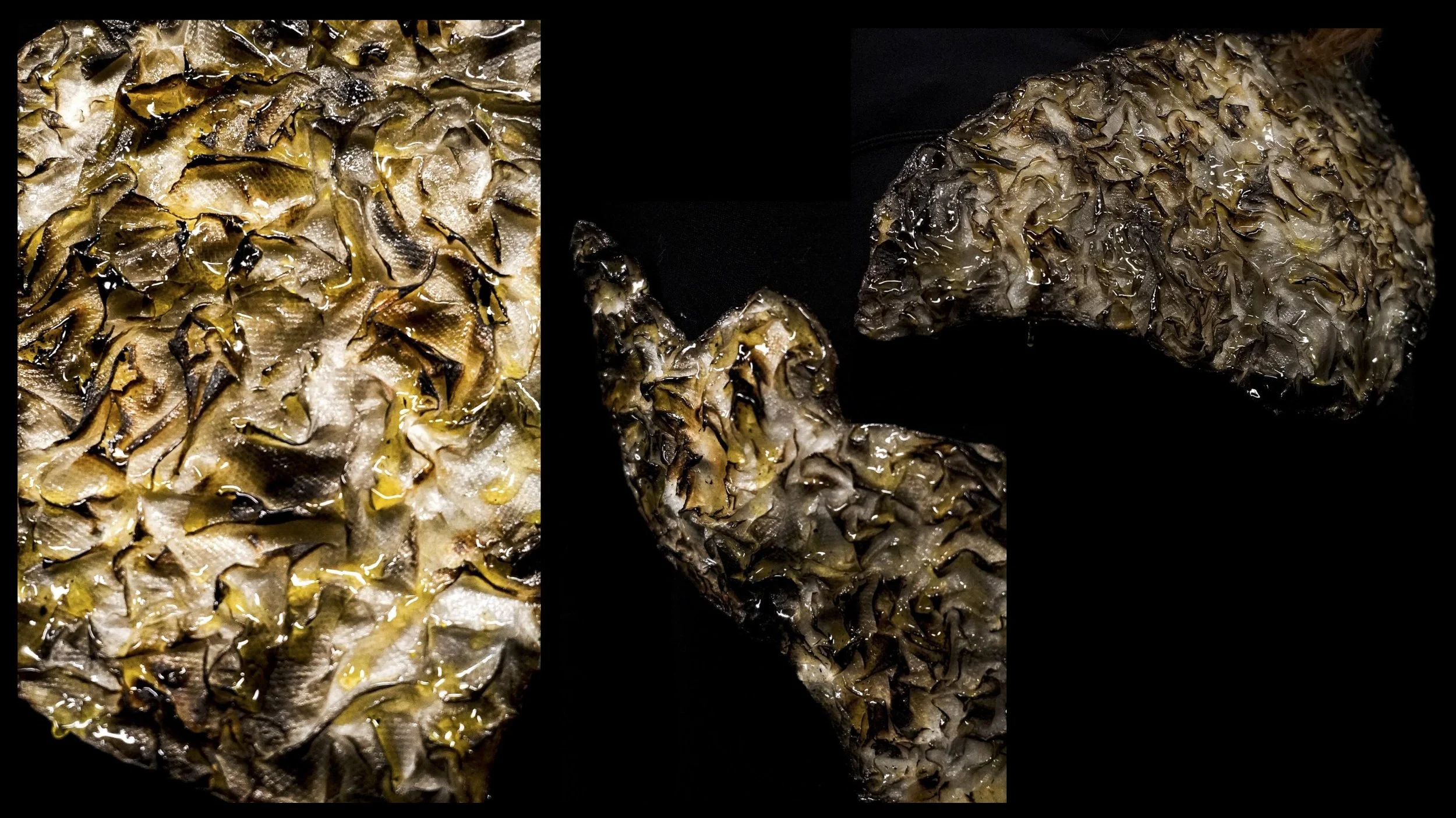 M2 Project Proposal5.jpg