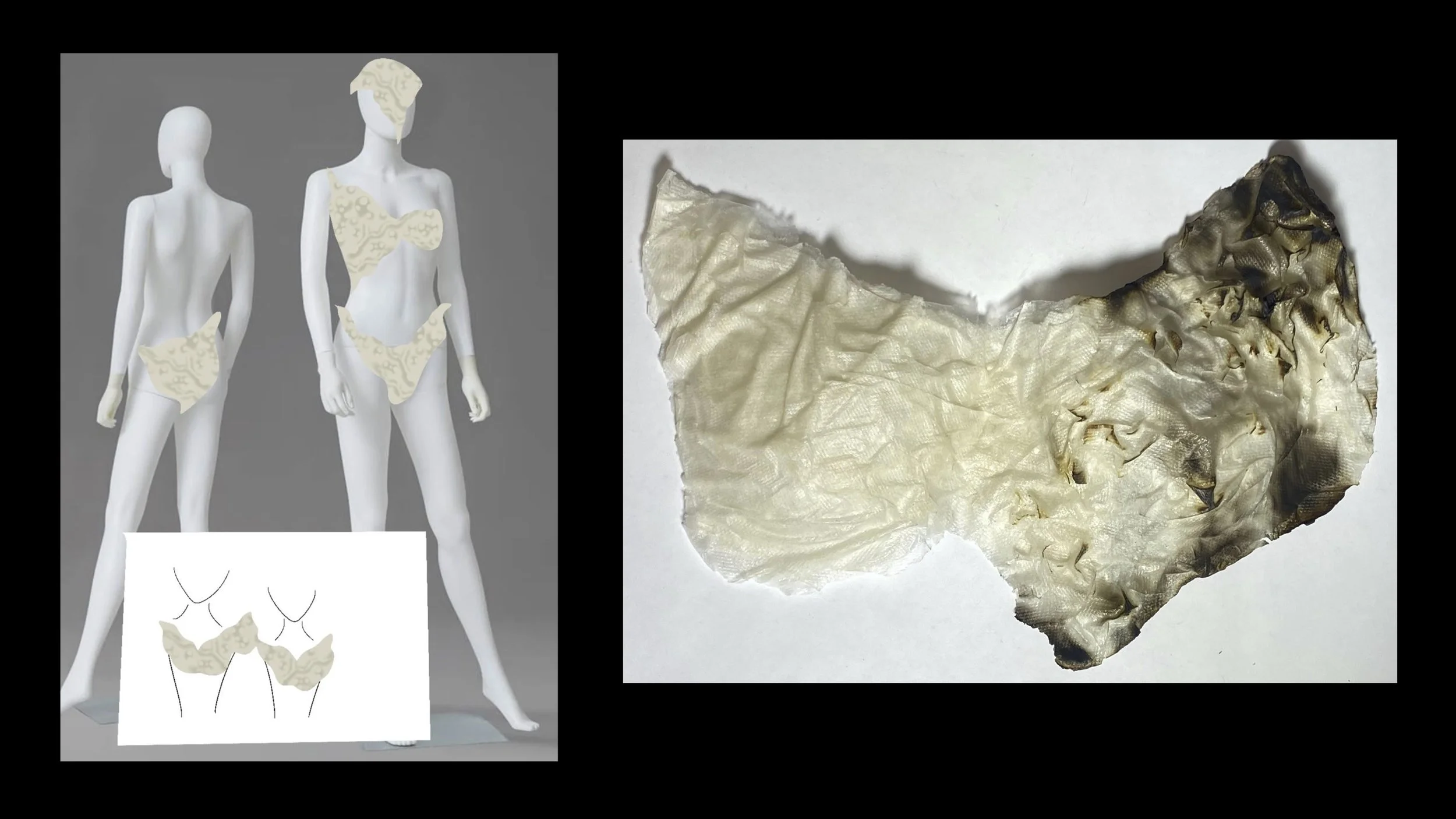 M2 Project Proposal.jpg