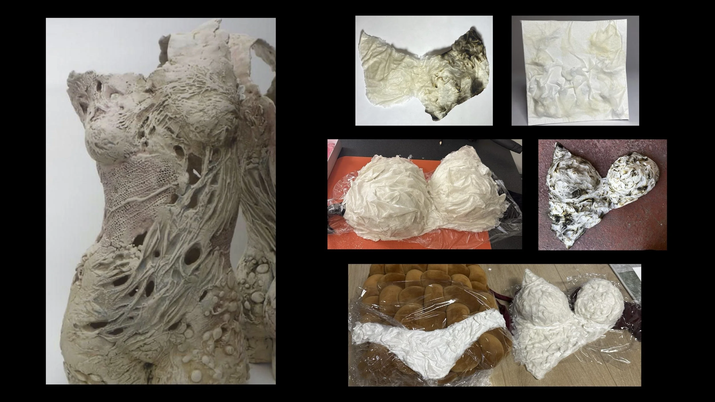 M2 Project Proposal2.jpg