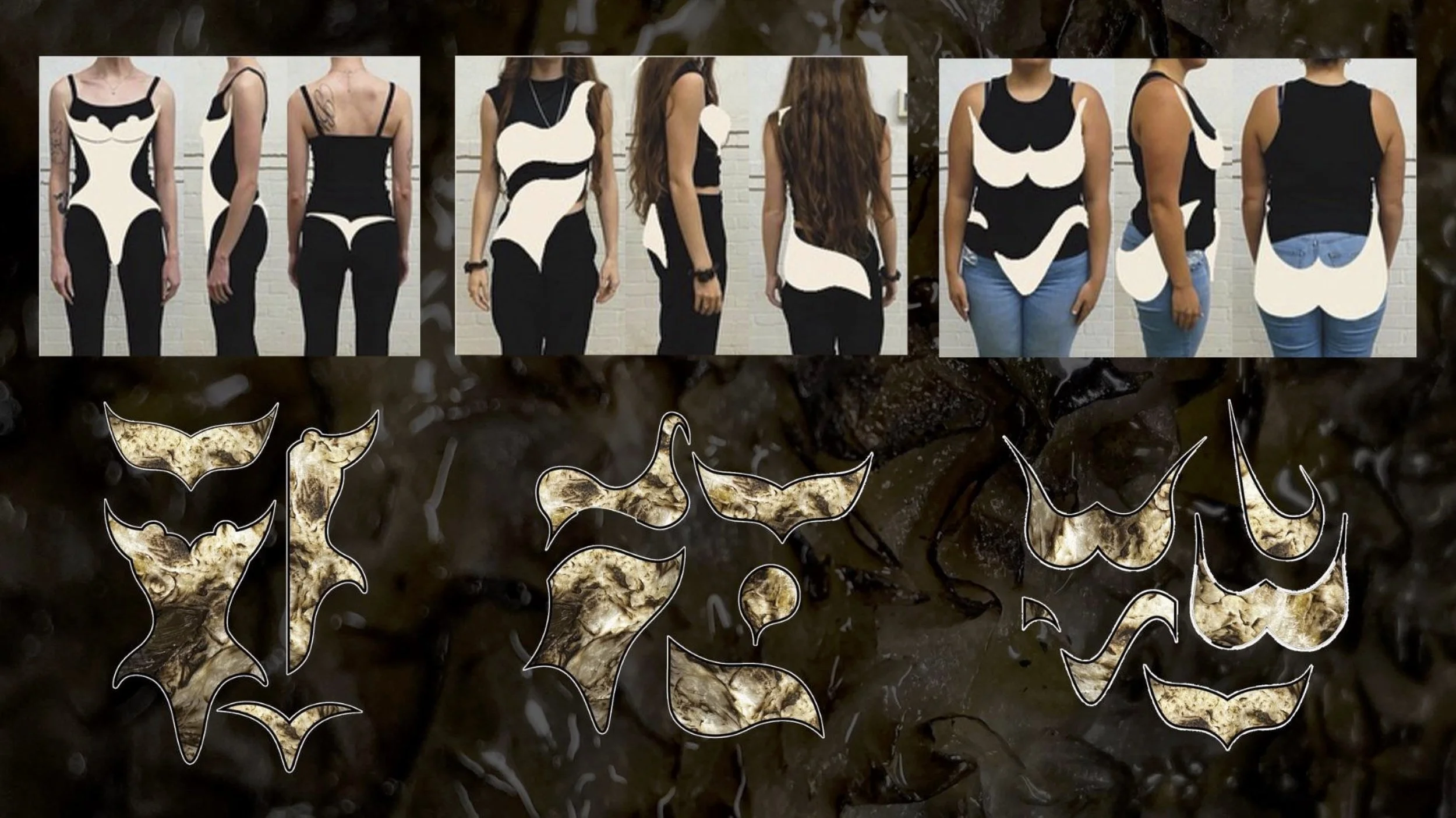 M2 Project Proposal3.jpg