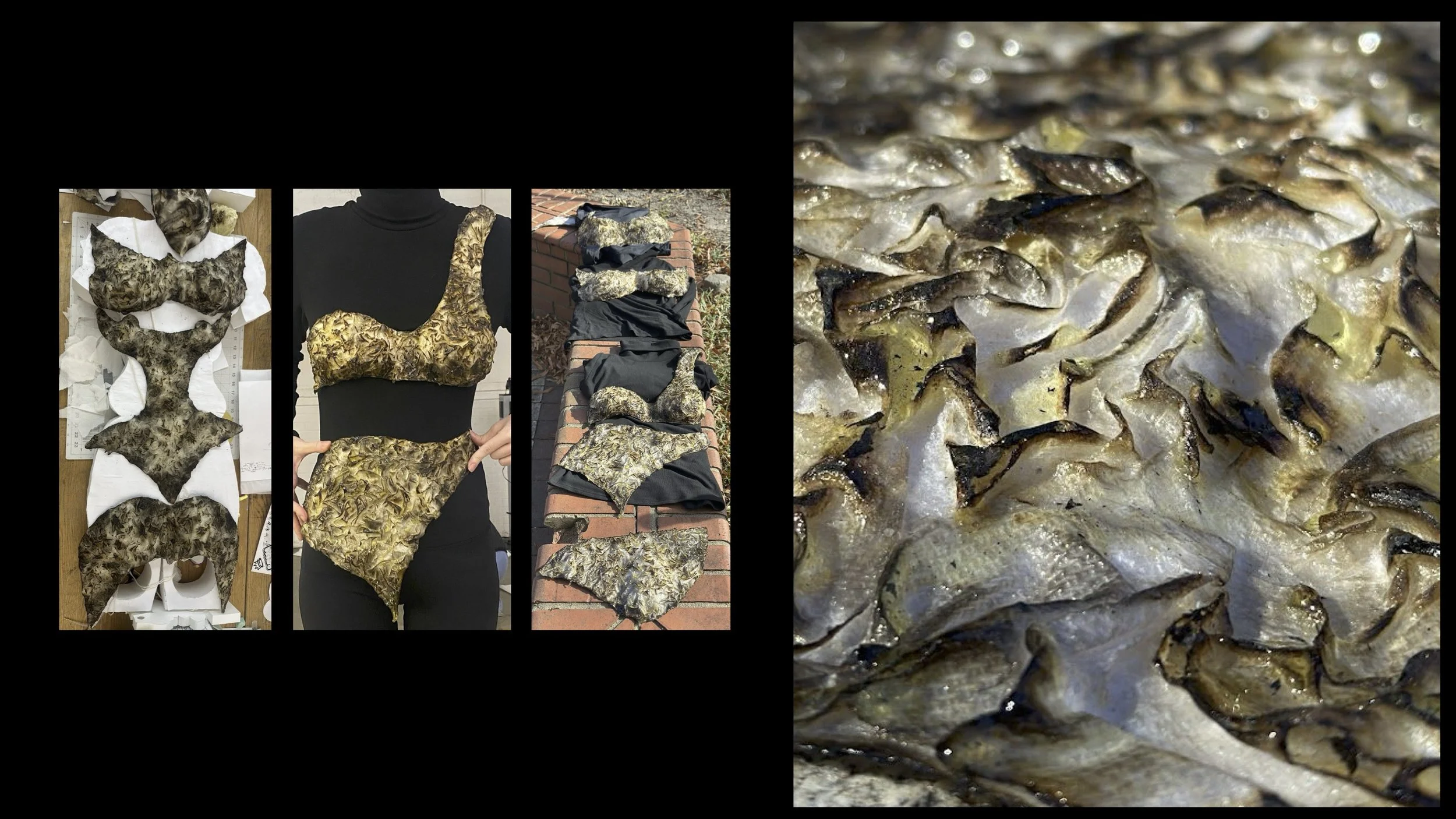 M2 Project Proposal4.jpg