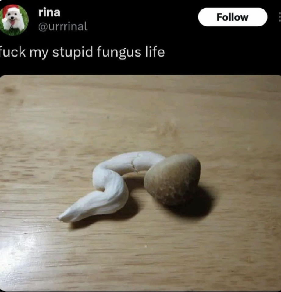 Screenshot 2026-01-05 at 12.38.40 AM.png