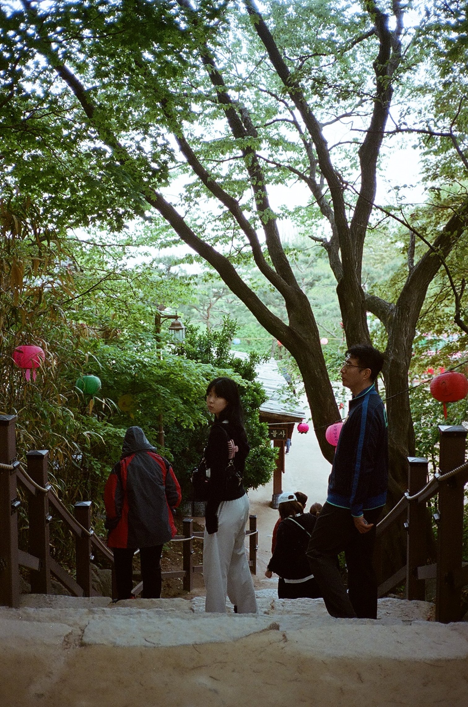 People walking on a stone staircase surrounded by lush green trees and colorful lanterns.
