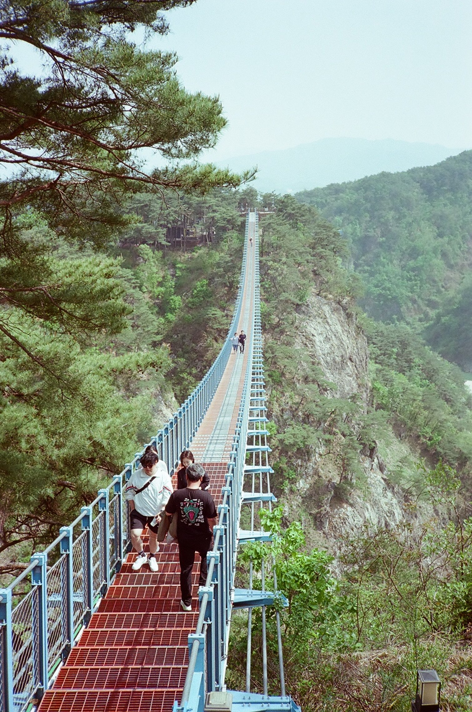 People walking on a long, narrow hanging bridge in a forested mountain area with lush green trees and distant mountains in the background.