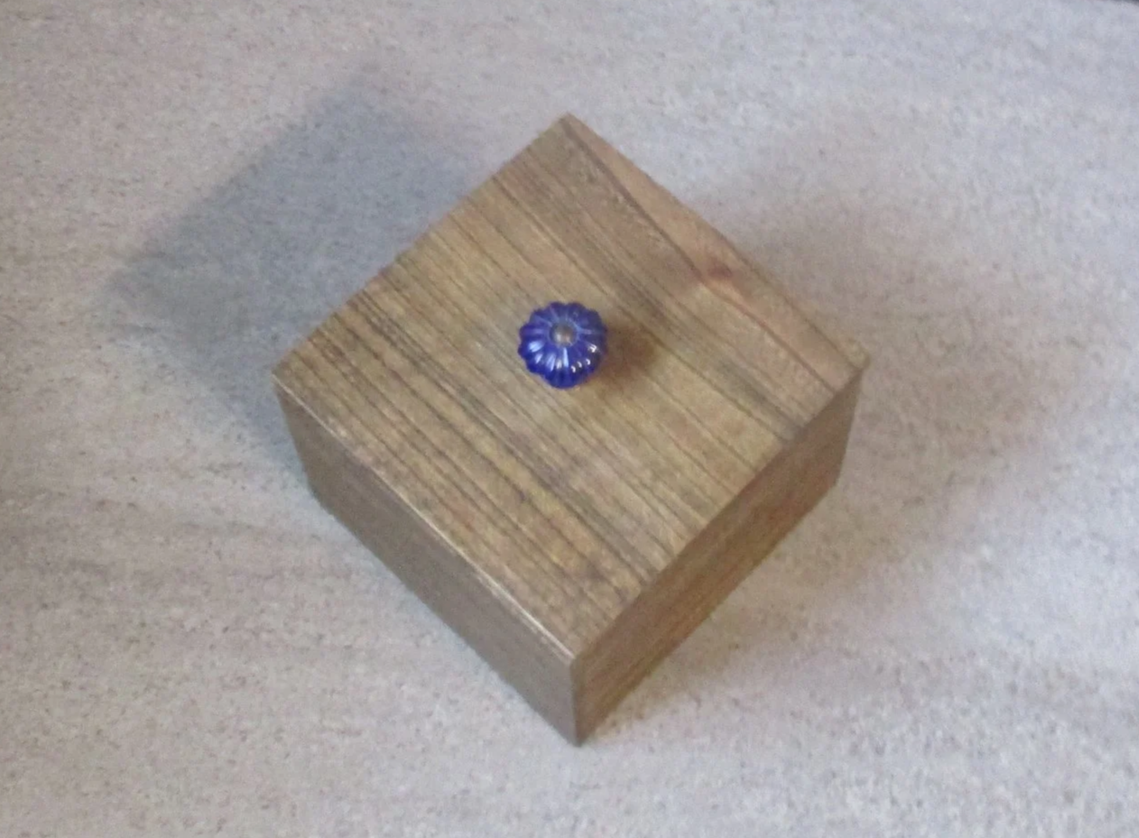 IMG_4503.png