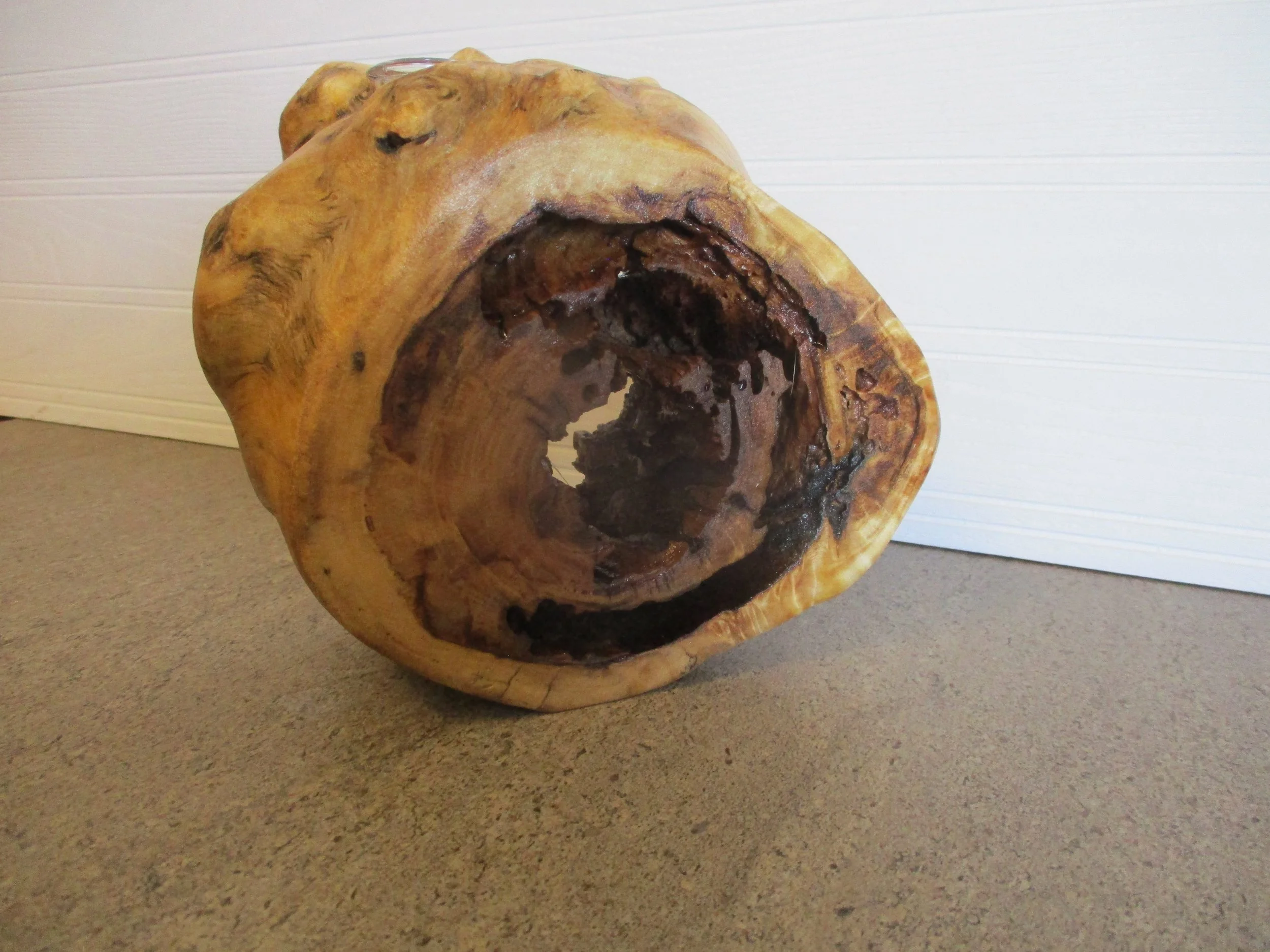 Cottonwood Burl Tuber Vase
