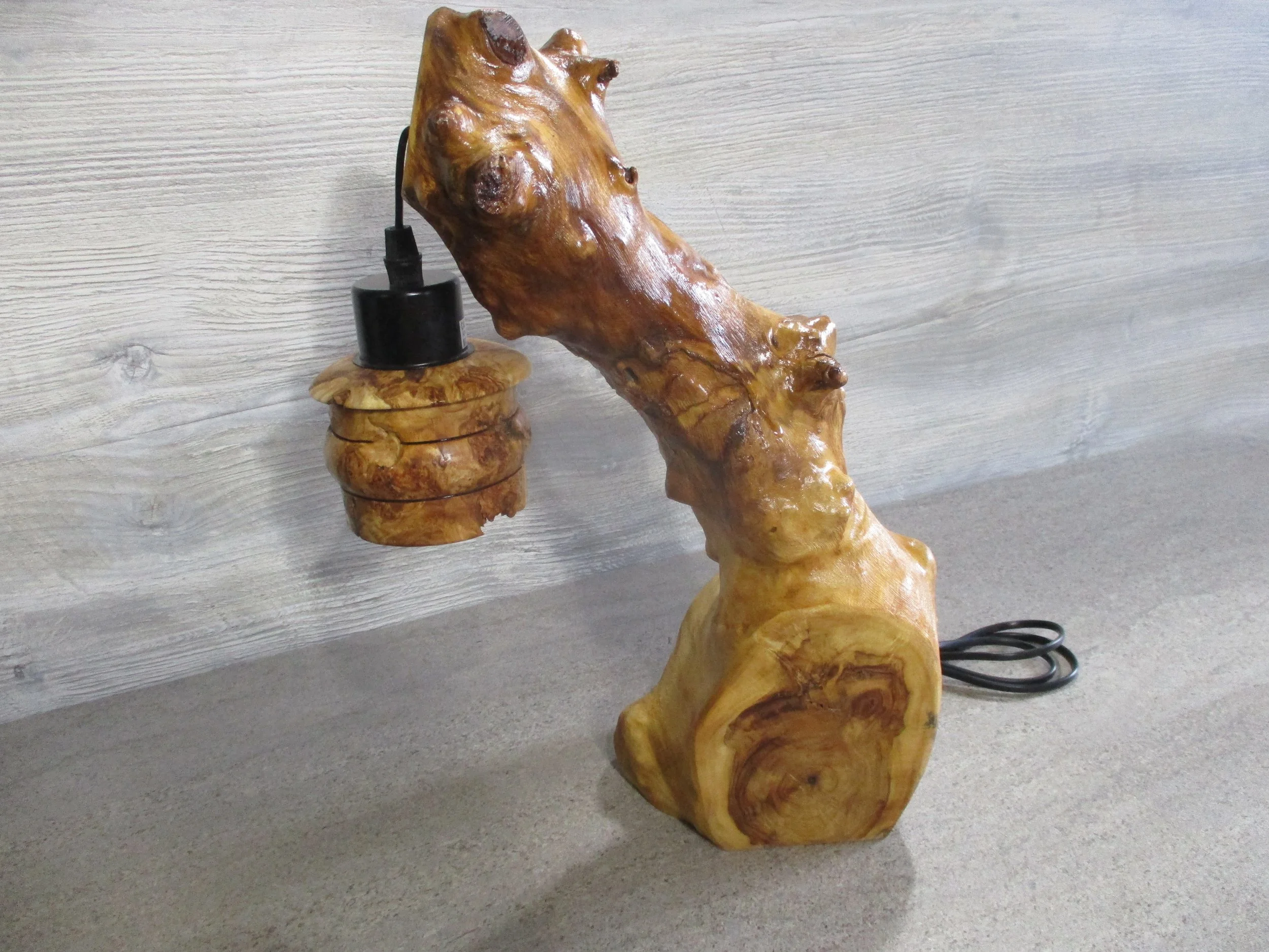 Cottonwood lamp with Burl Shade