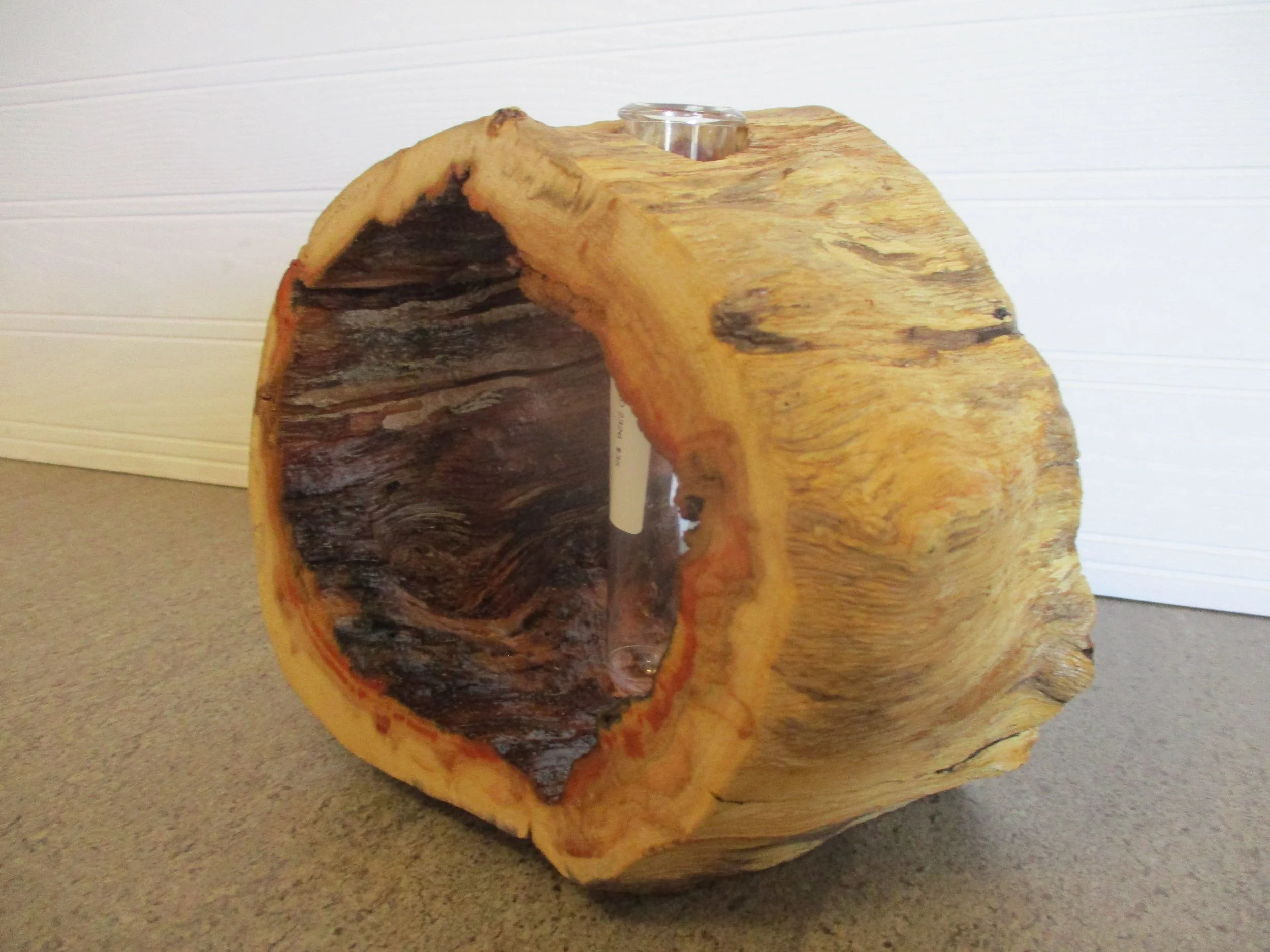 Boxelder Tuber Vase