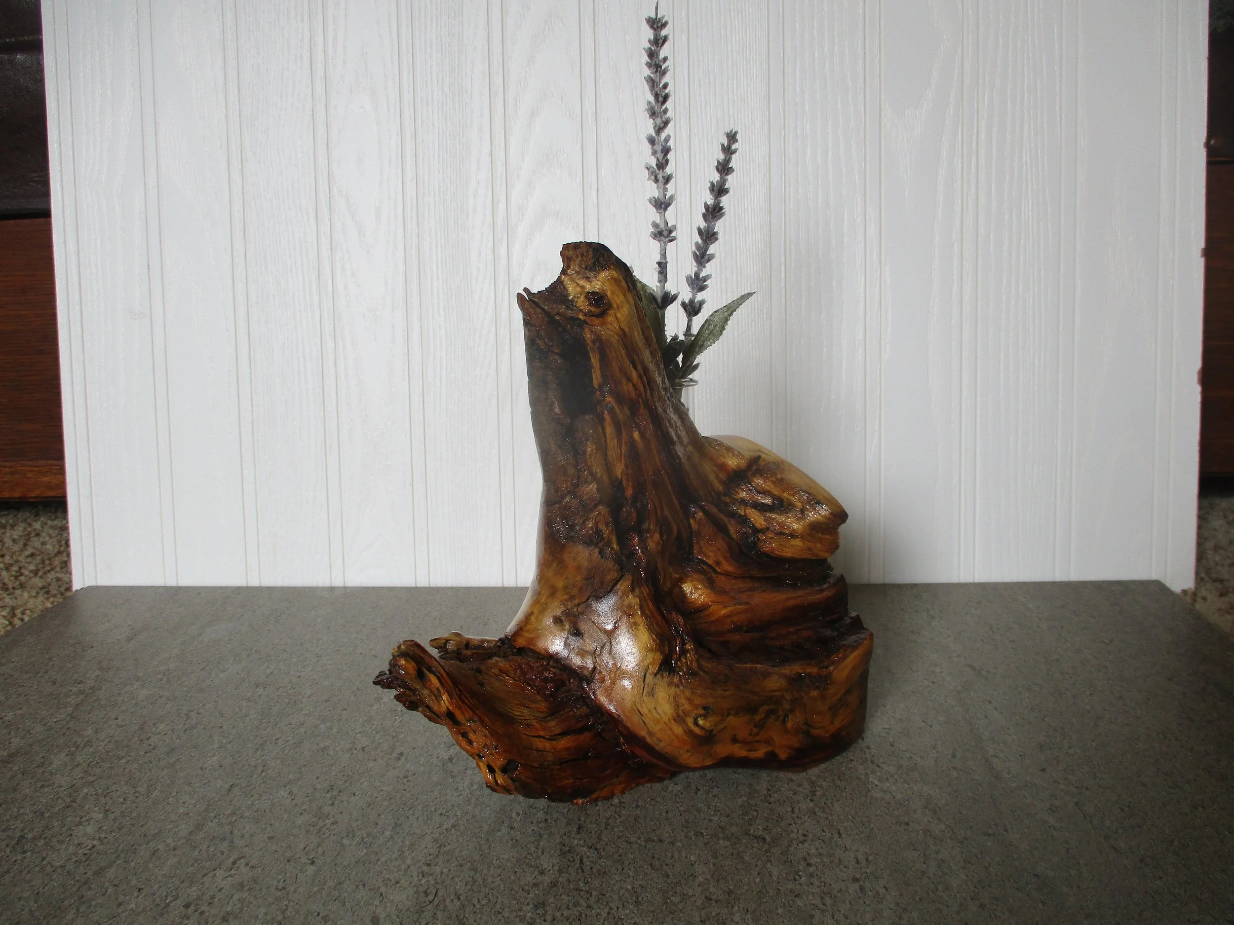 Cottonwood Burl Tuber Vase