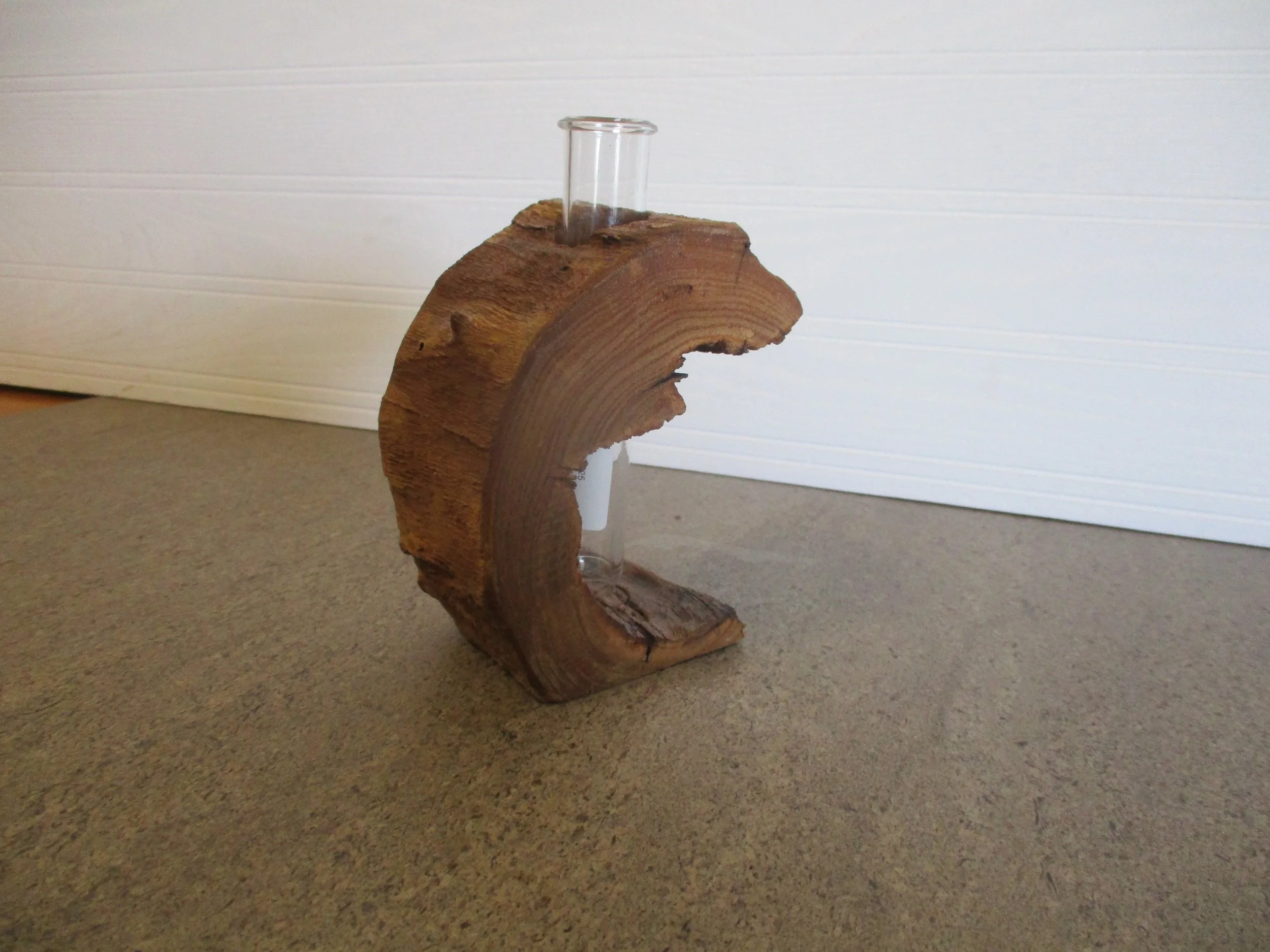 Black Locust Tuber Vase
