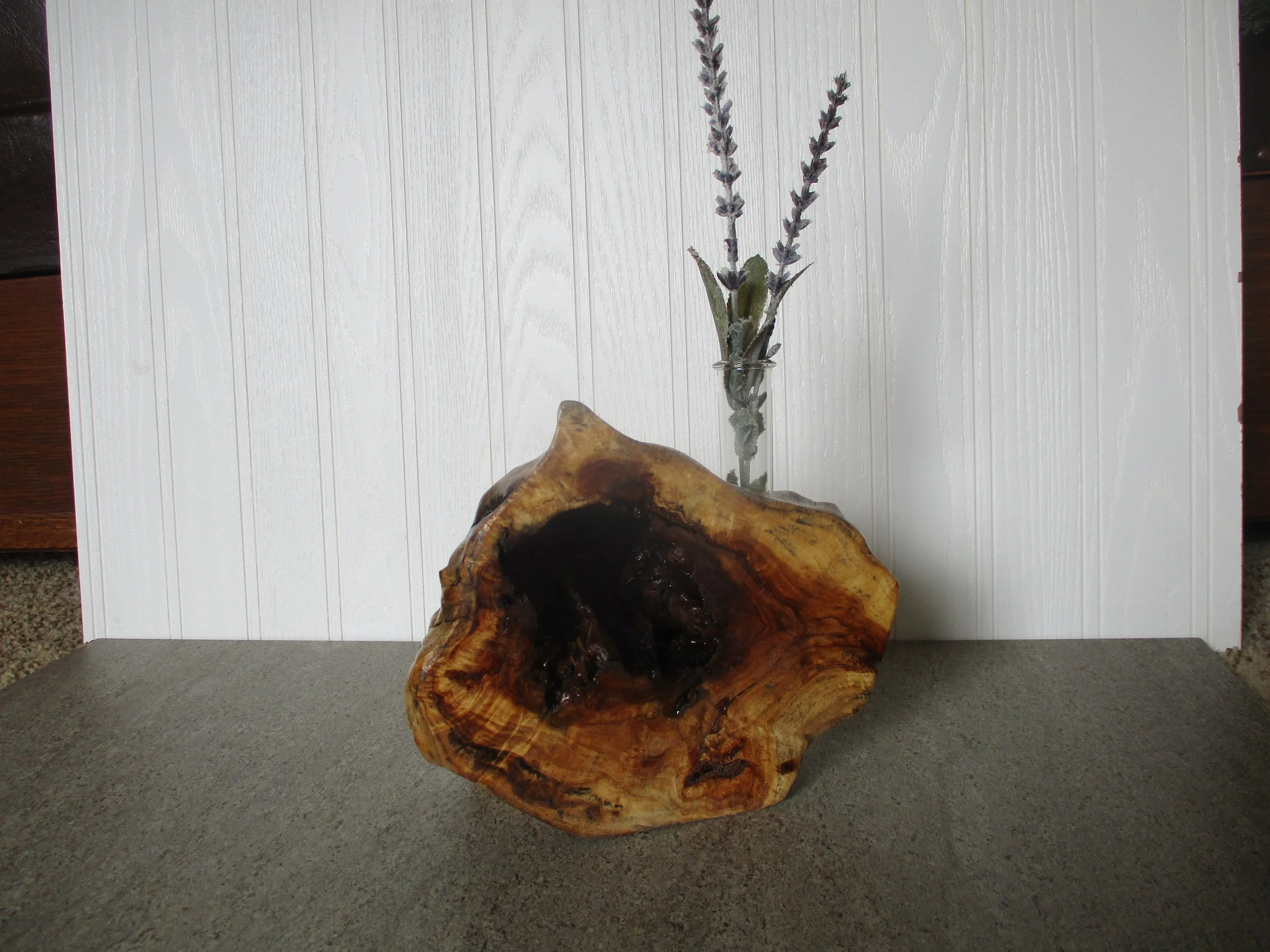 Cottonwood Burl Tuber Vase