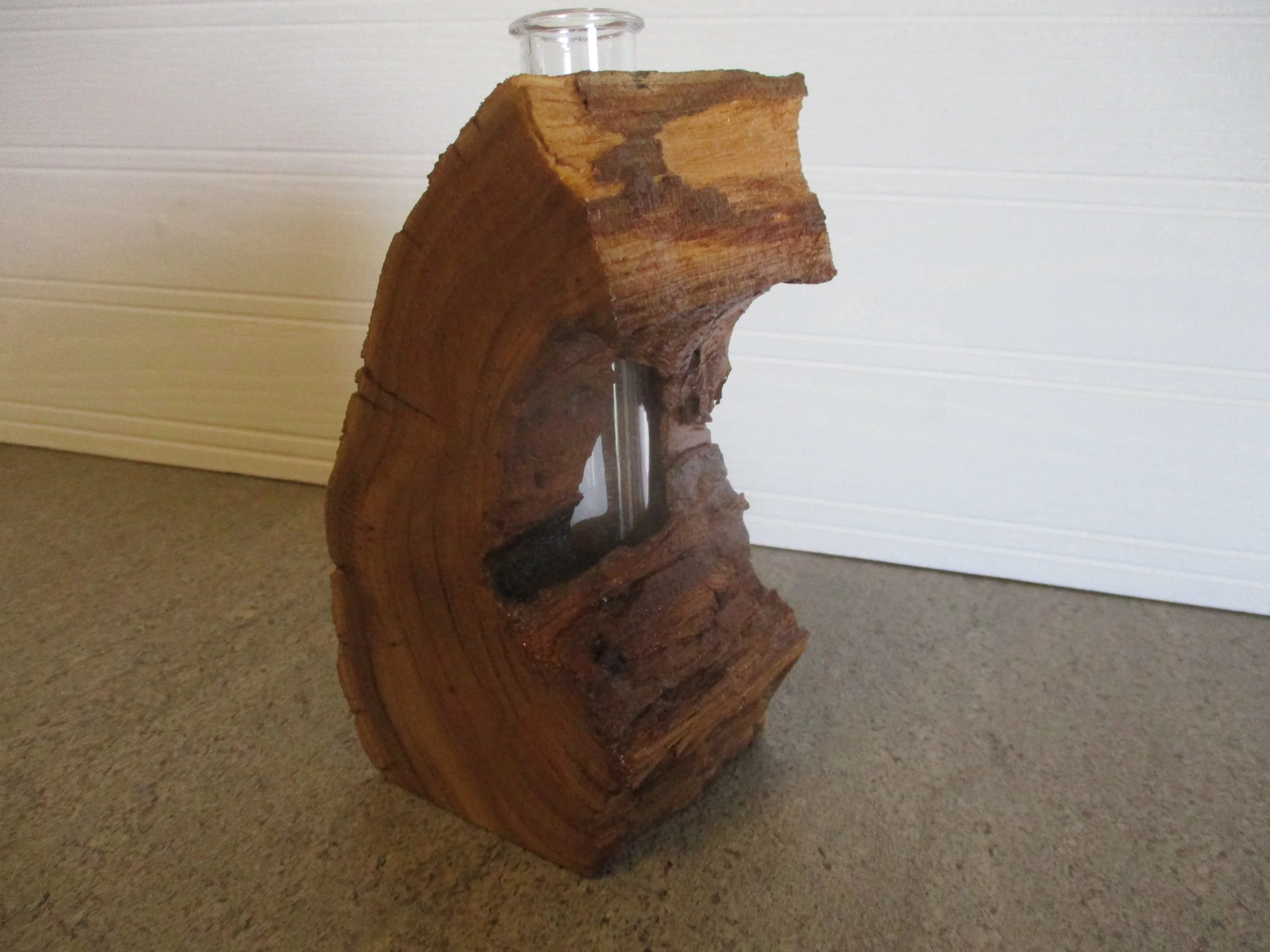 Elm Tuber Vase